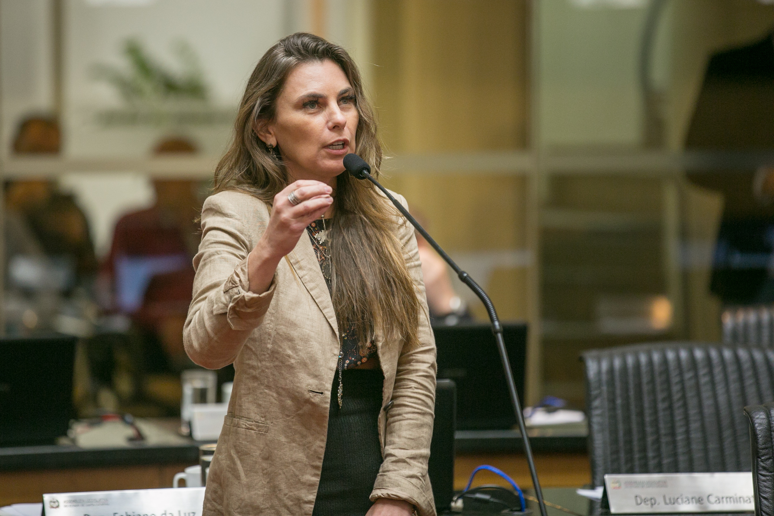 Deputada Paulinha (PDT)