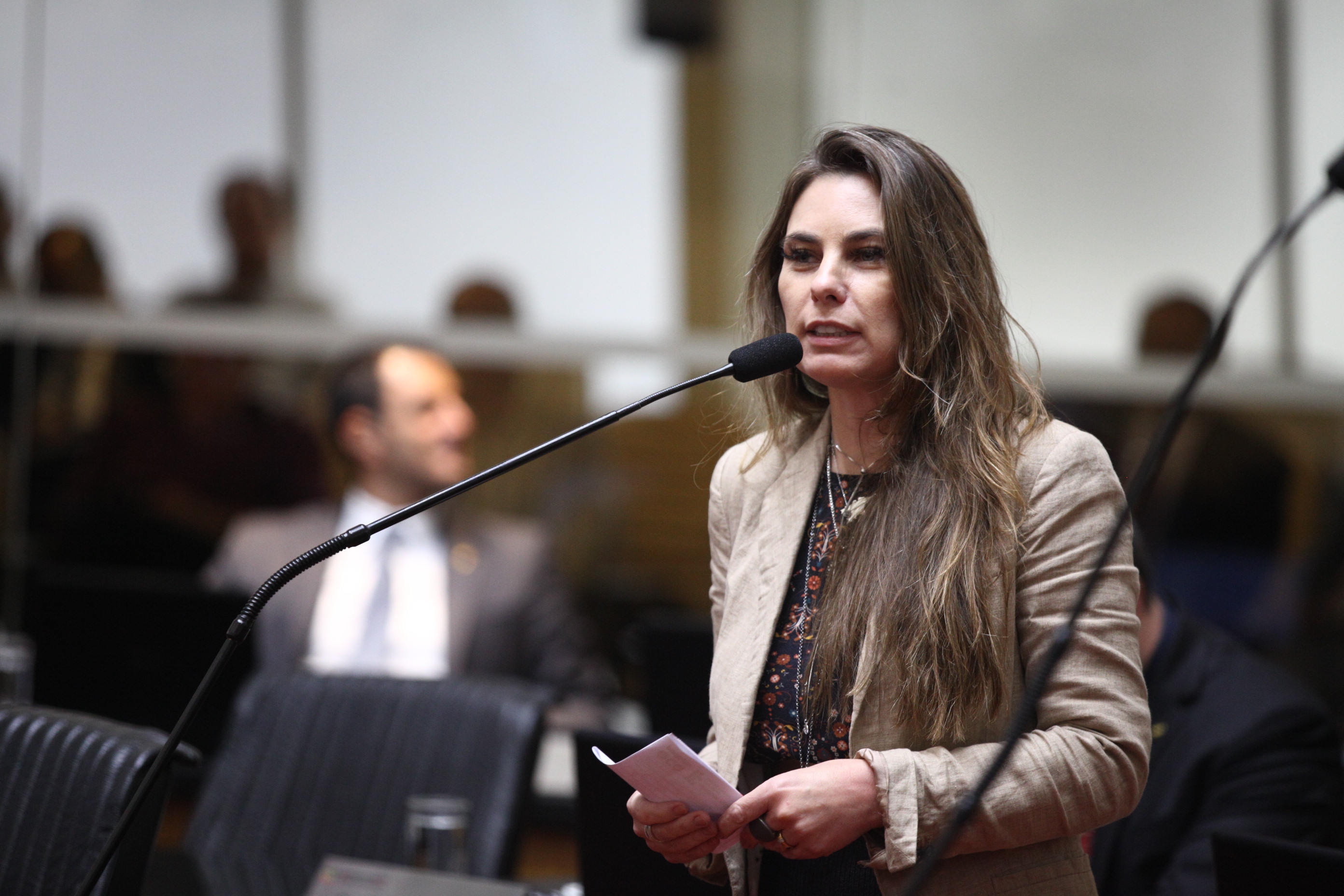 Sessão Plenária - Deputada Ana Paula da Silva (PDT)