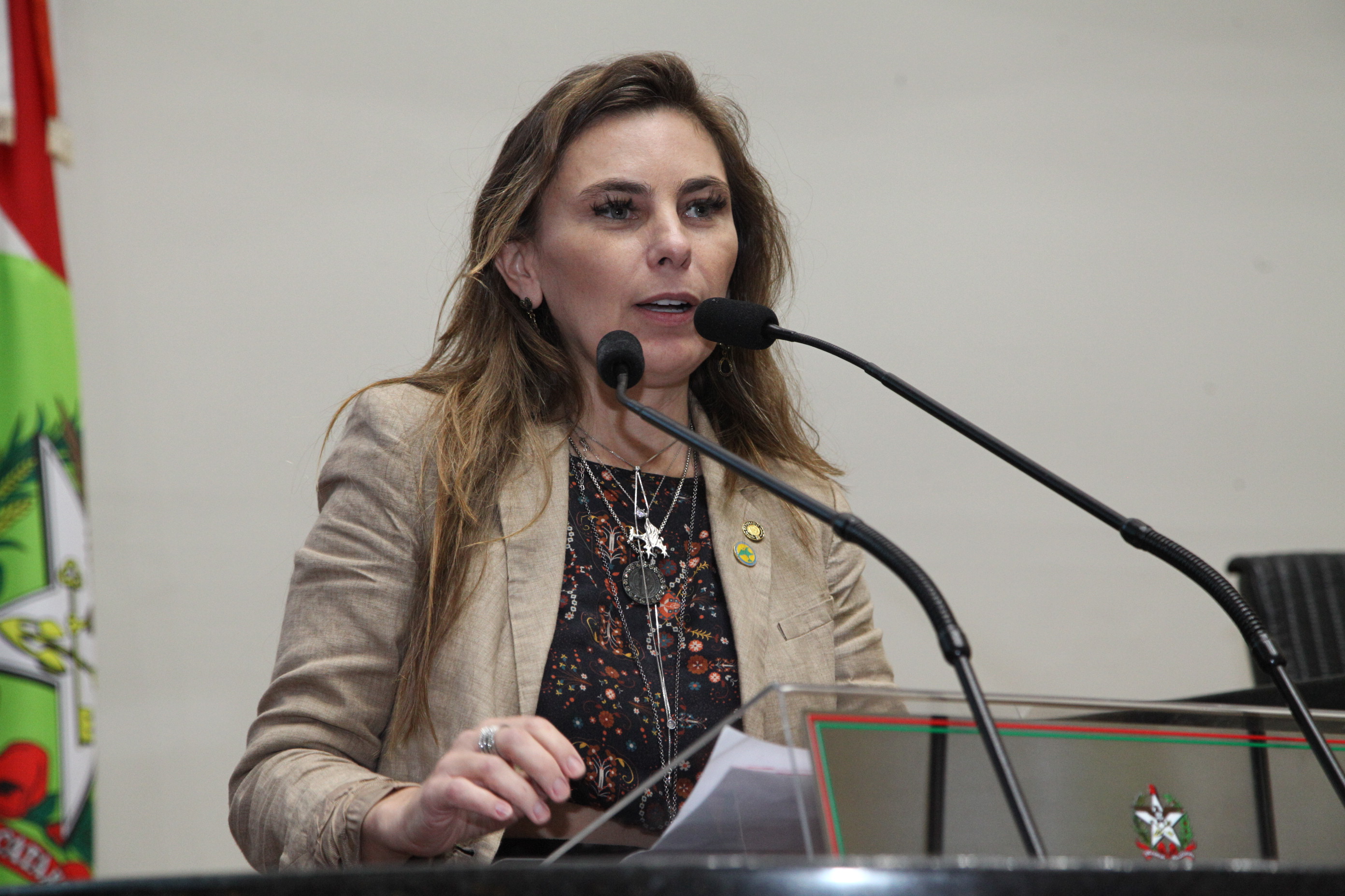 Sessão Plenária - Deputada Ana Paula da Silva (PDT)
