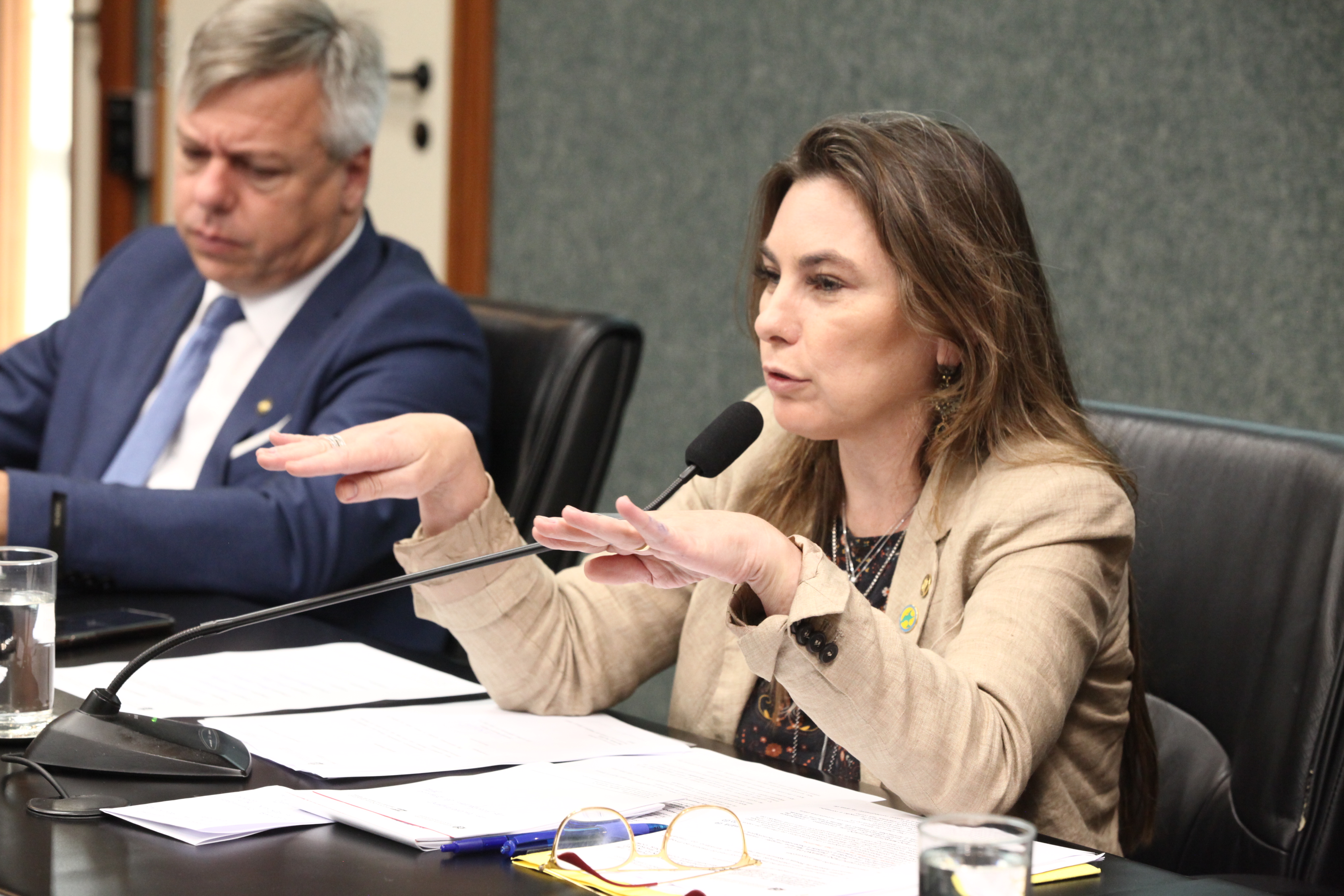 Comissão de Trabalho Administração e Serviço Público
