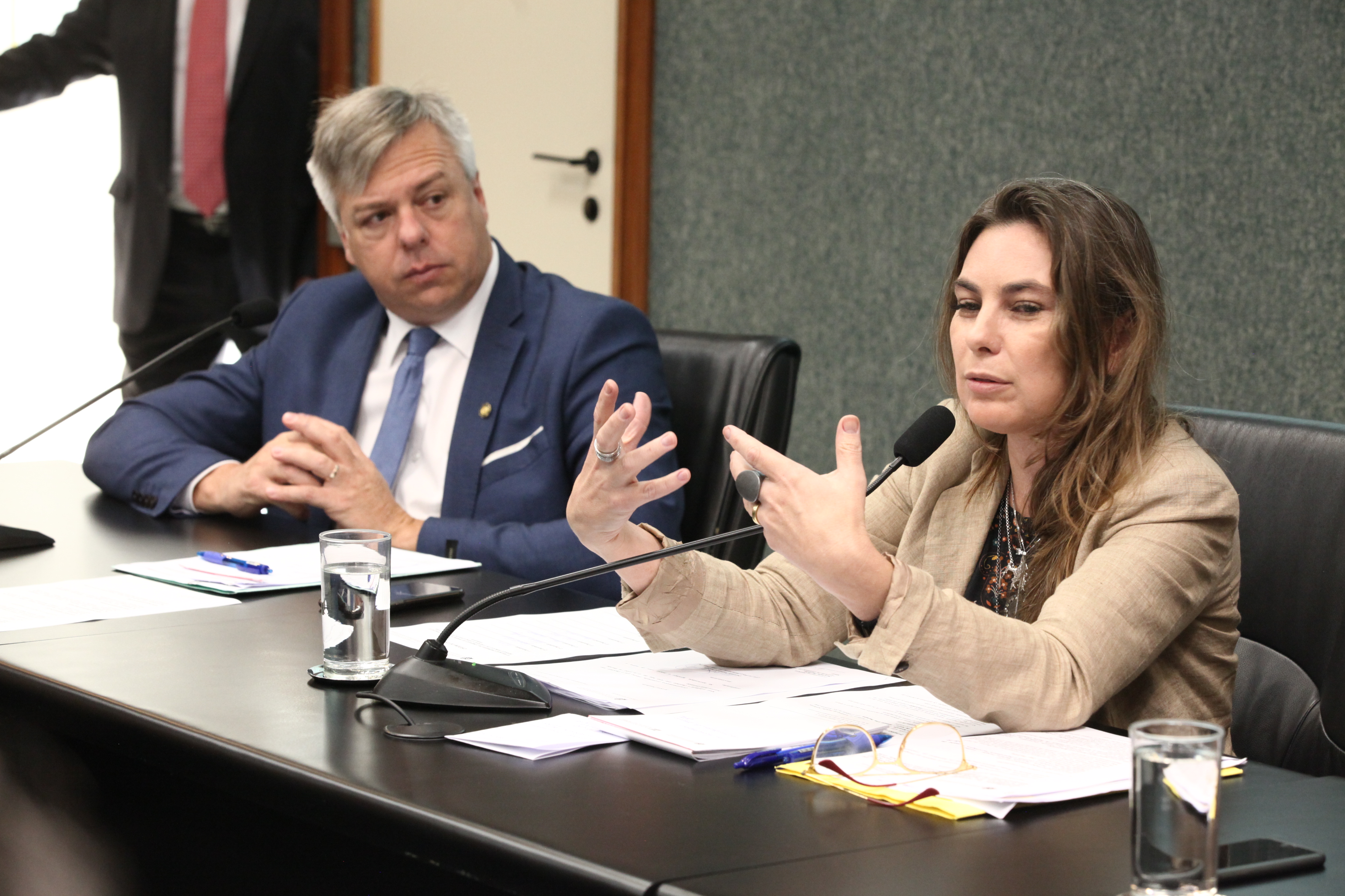 Comissão de Trabalho Administração e Serviço Público