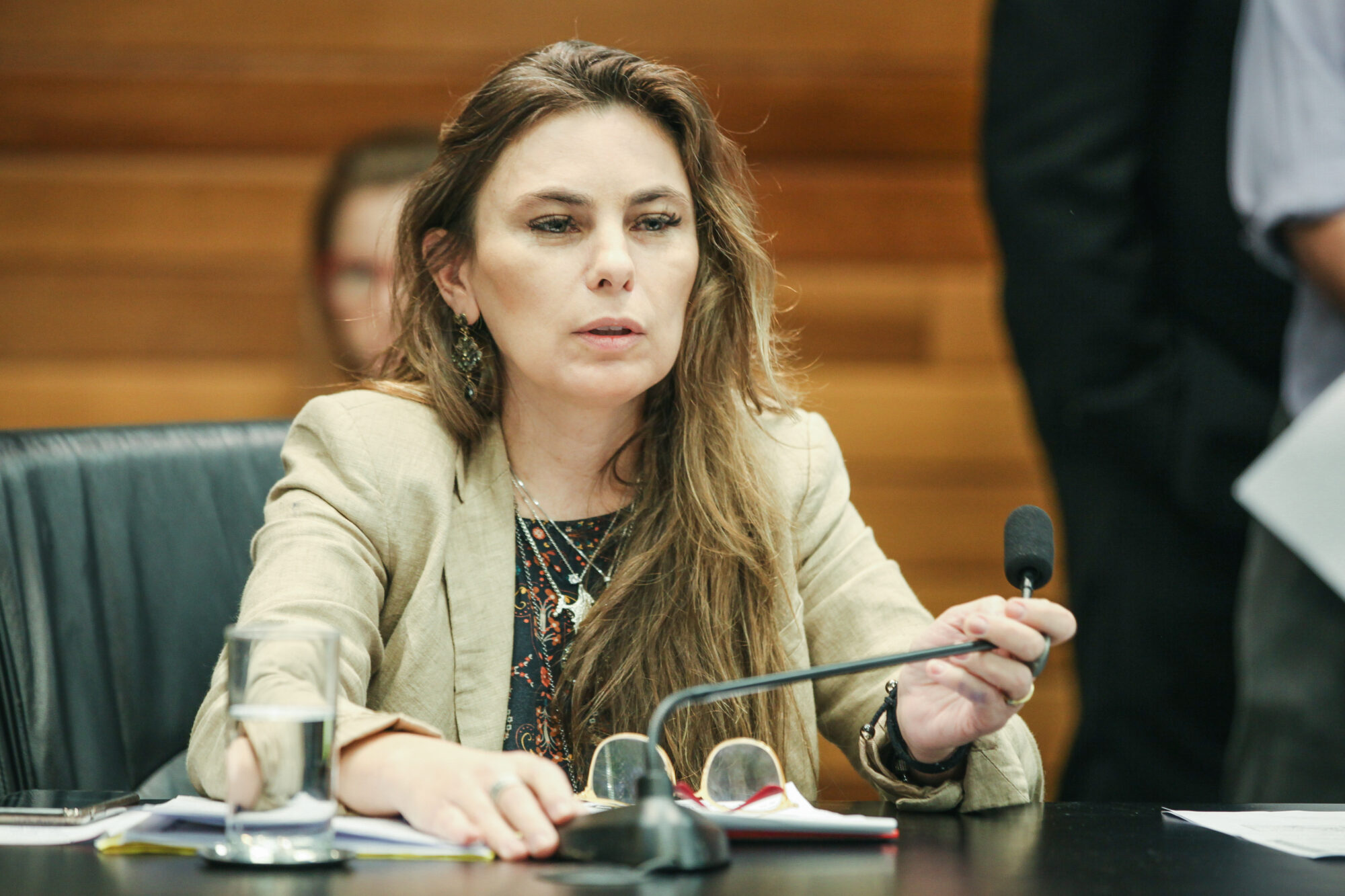 Deputada Paulinha