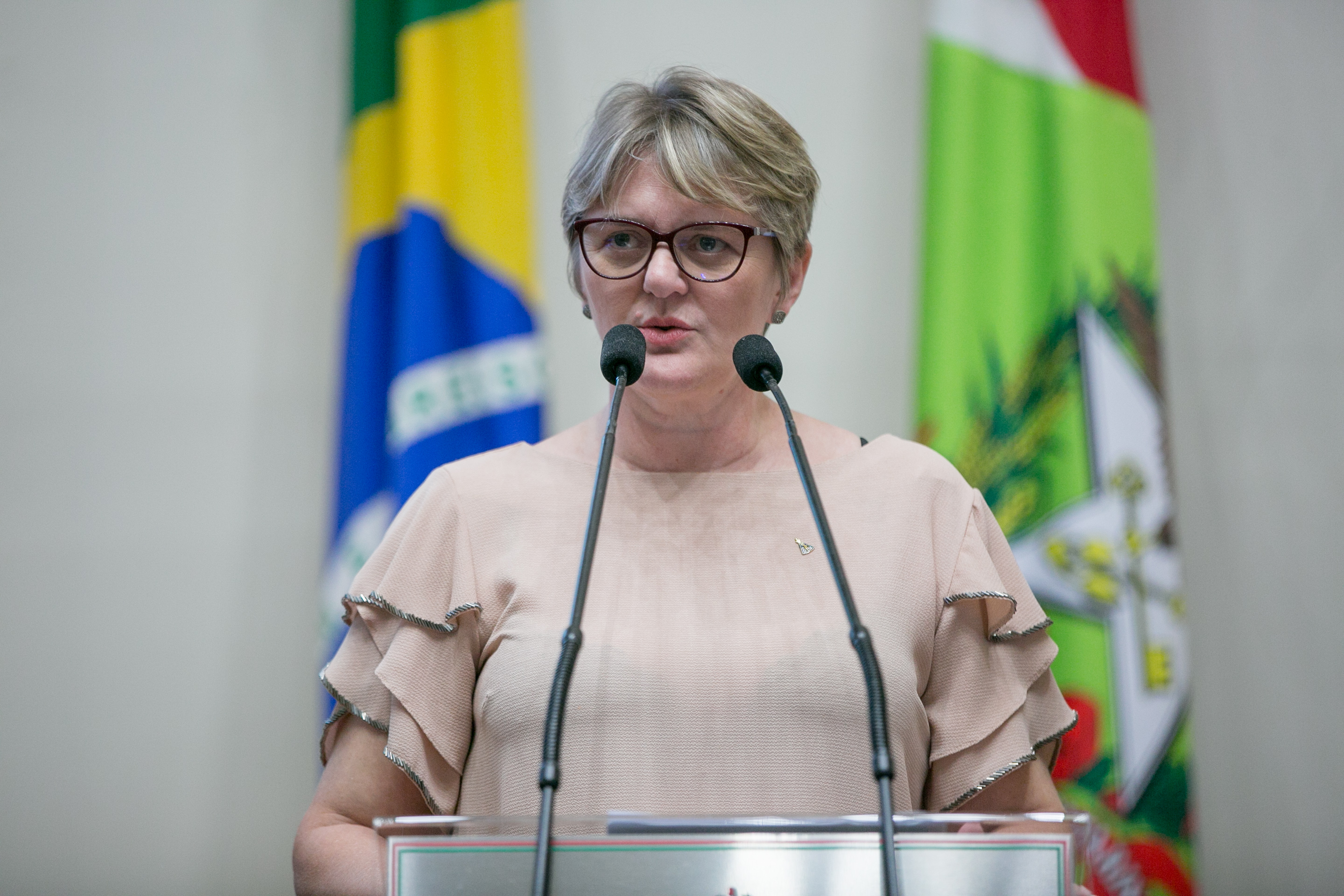 Deputada Luciane Carminatti (PT)