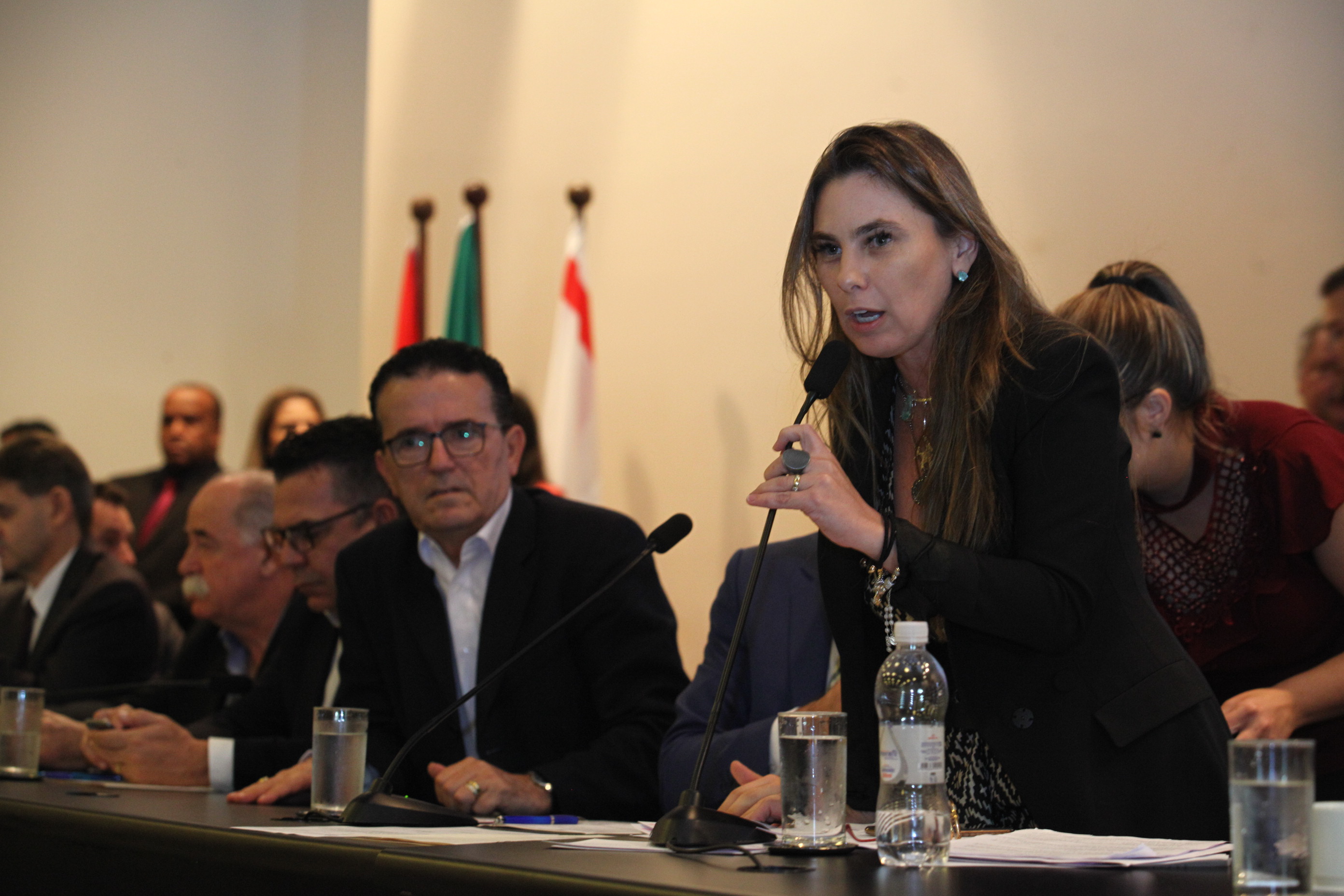Comissão de Pesca e Aquicultura - Deputada Ana Paula da Silva (PDT)
