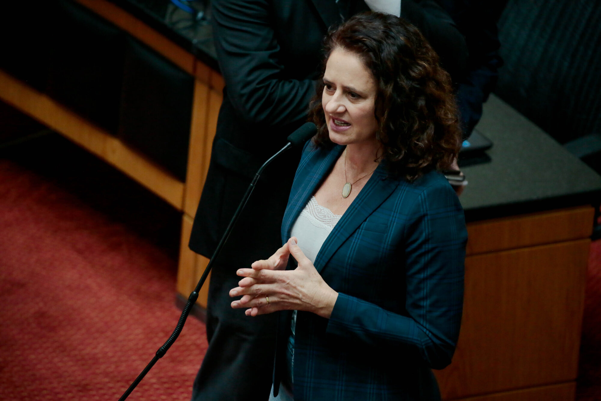 Deputada Marlene Fengler