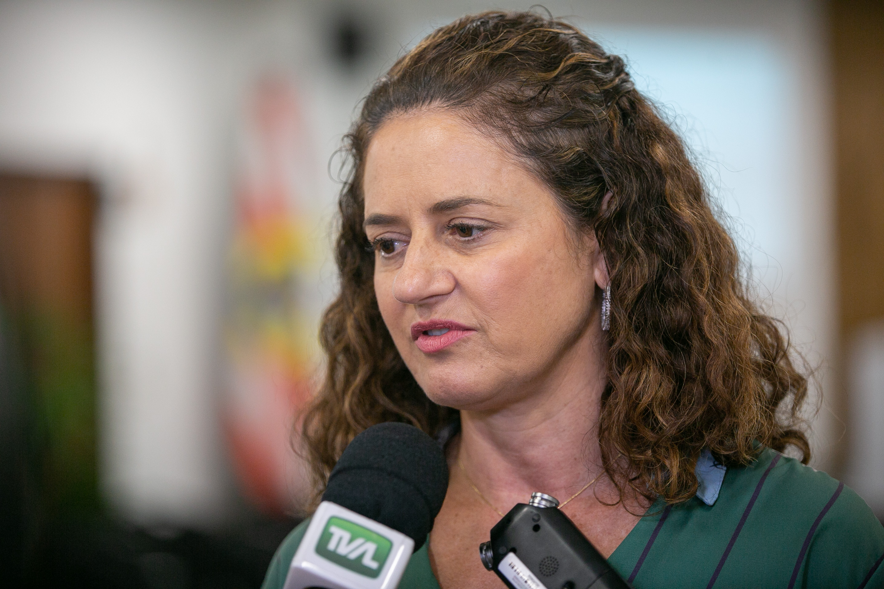 Deputada Marlene Fengler (PSD)