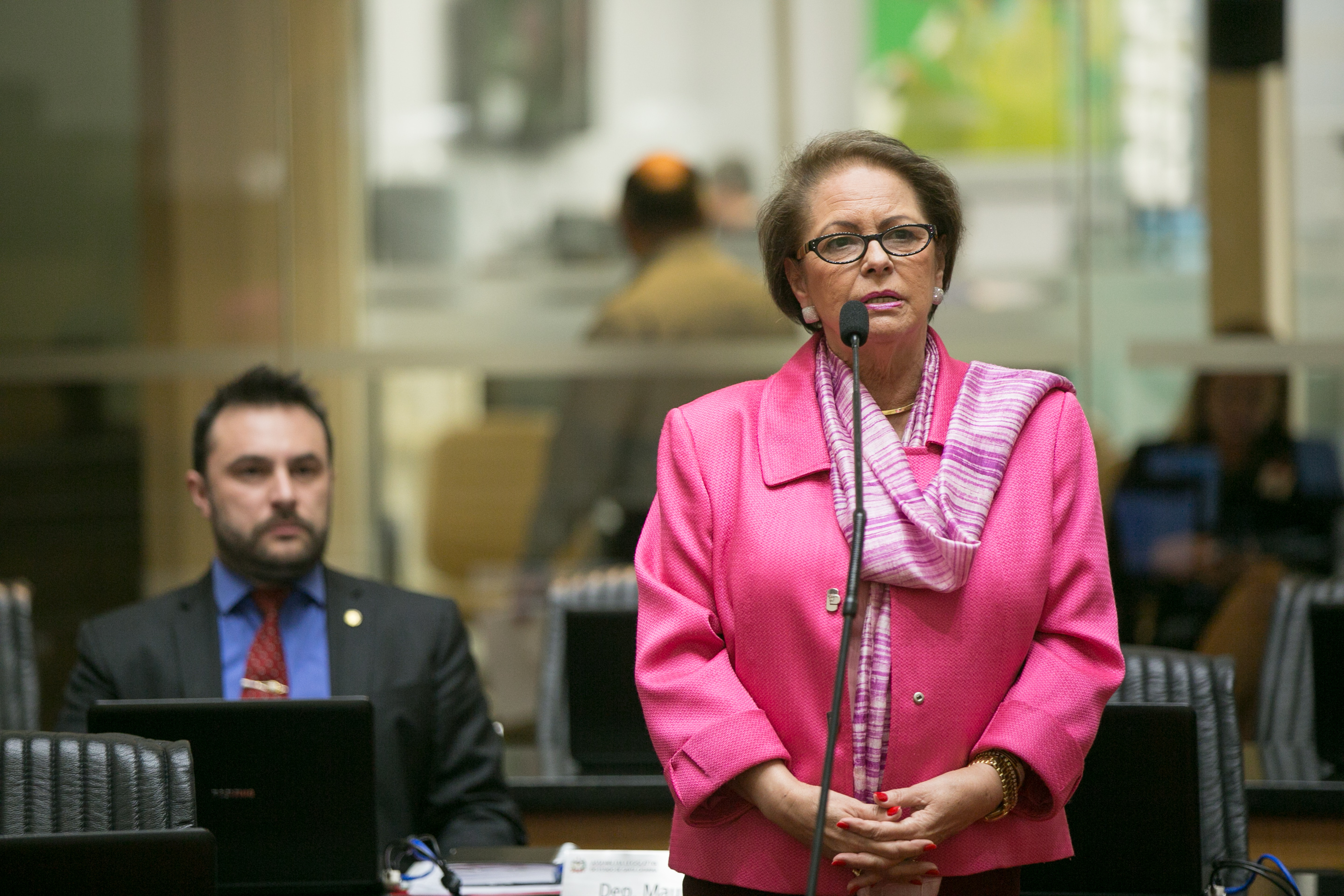 Deputada Ada De Luca (MDB)