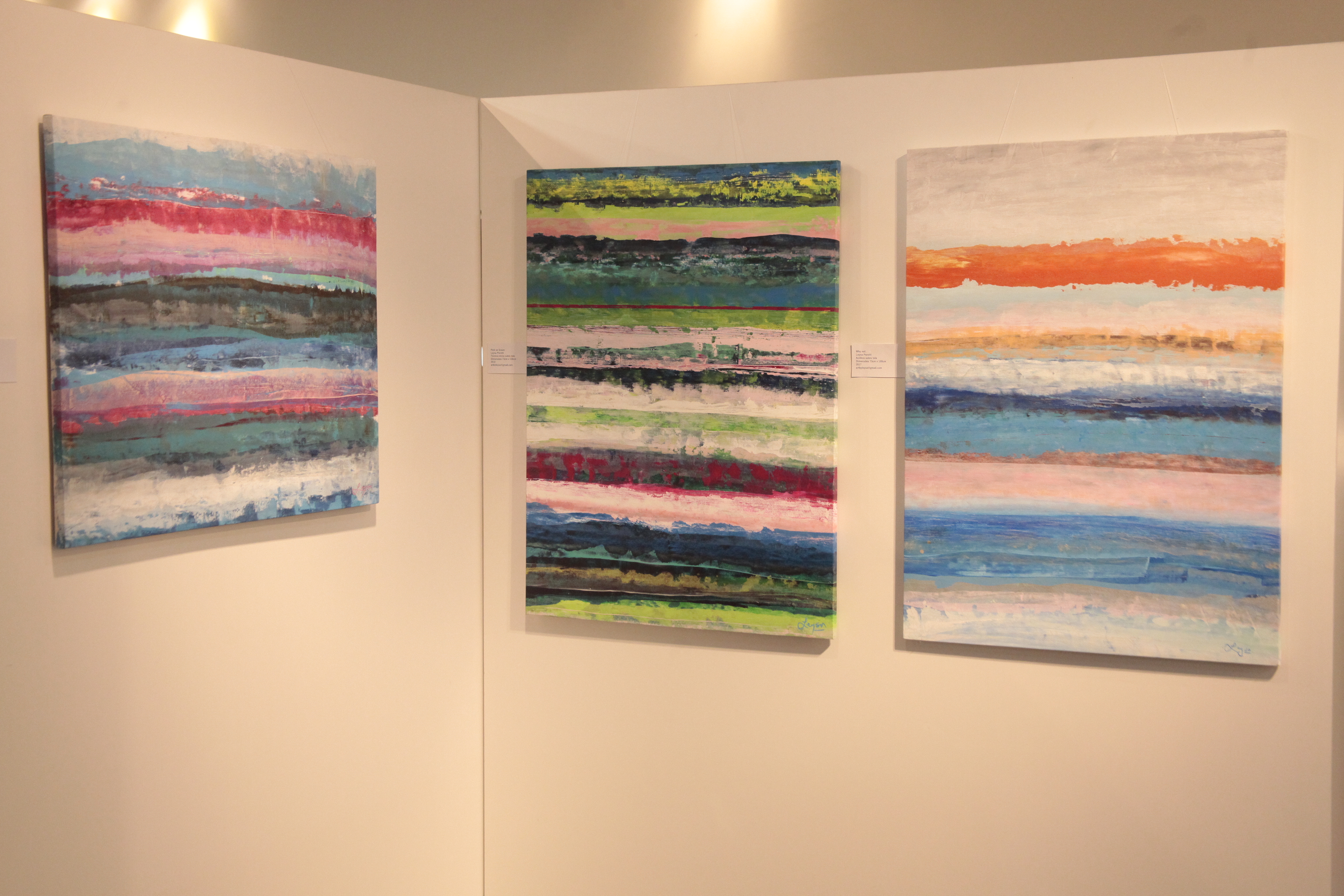 Exposição Lines Series Leysa Perotti