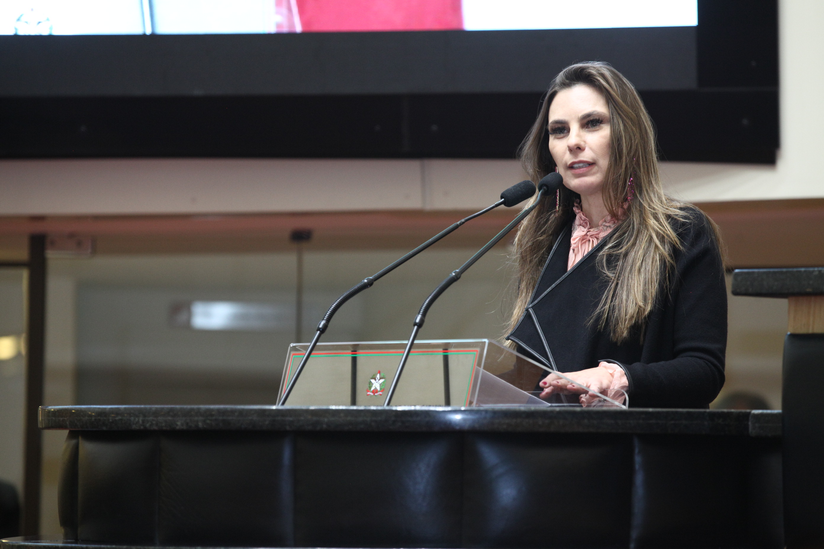 Sessão Ordinária - Deputada Ana Paula da Silva (PDT)