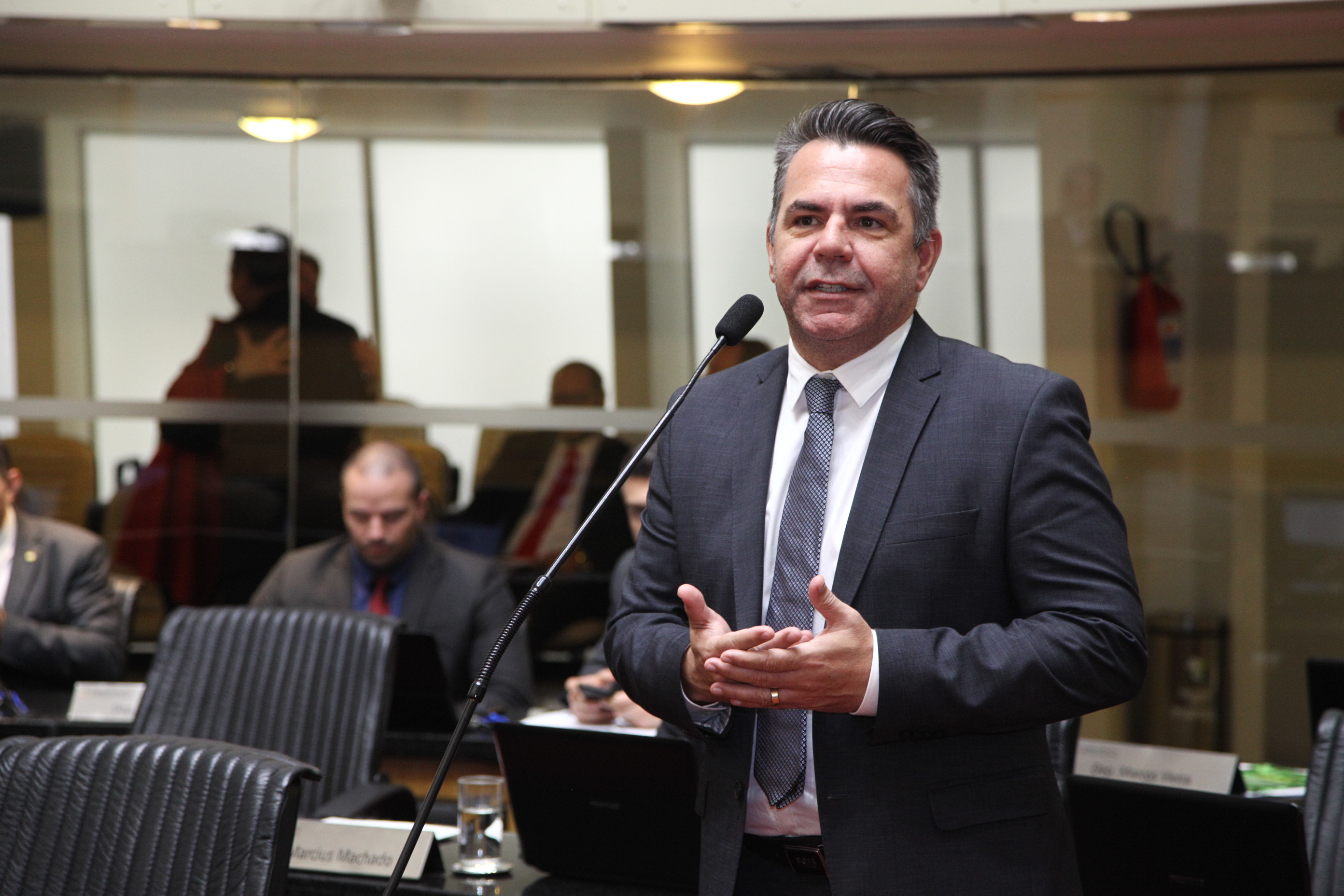 Sessão Ordinária - Deputado Luiz Fernando Vampiro  (MDB)