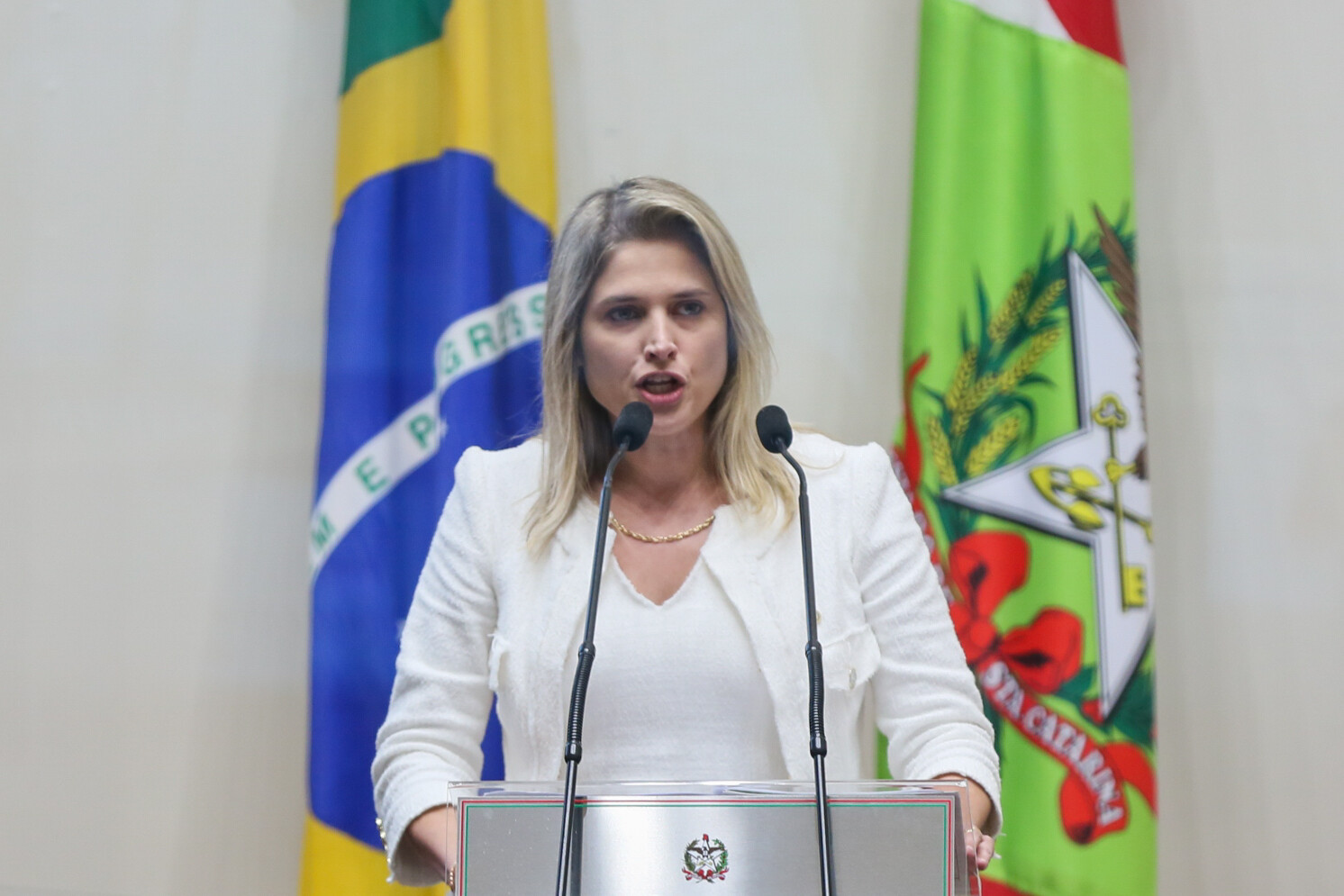 Defensoria Pública apresenta relato de suas atividades na Alesc