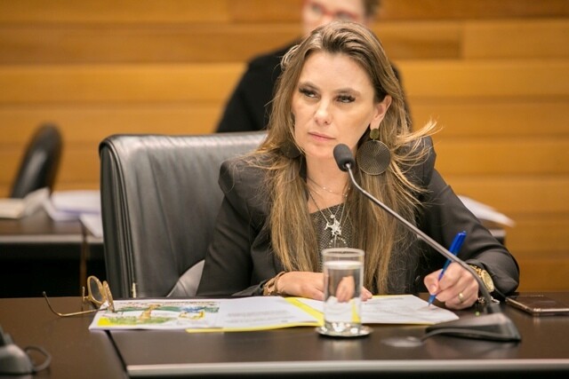 Deputada Paulinha (PDT). Foto: assessoria parlamentar.