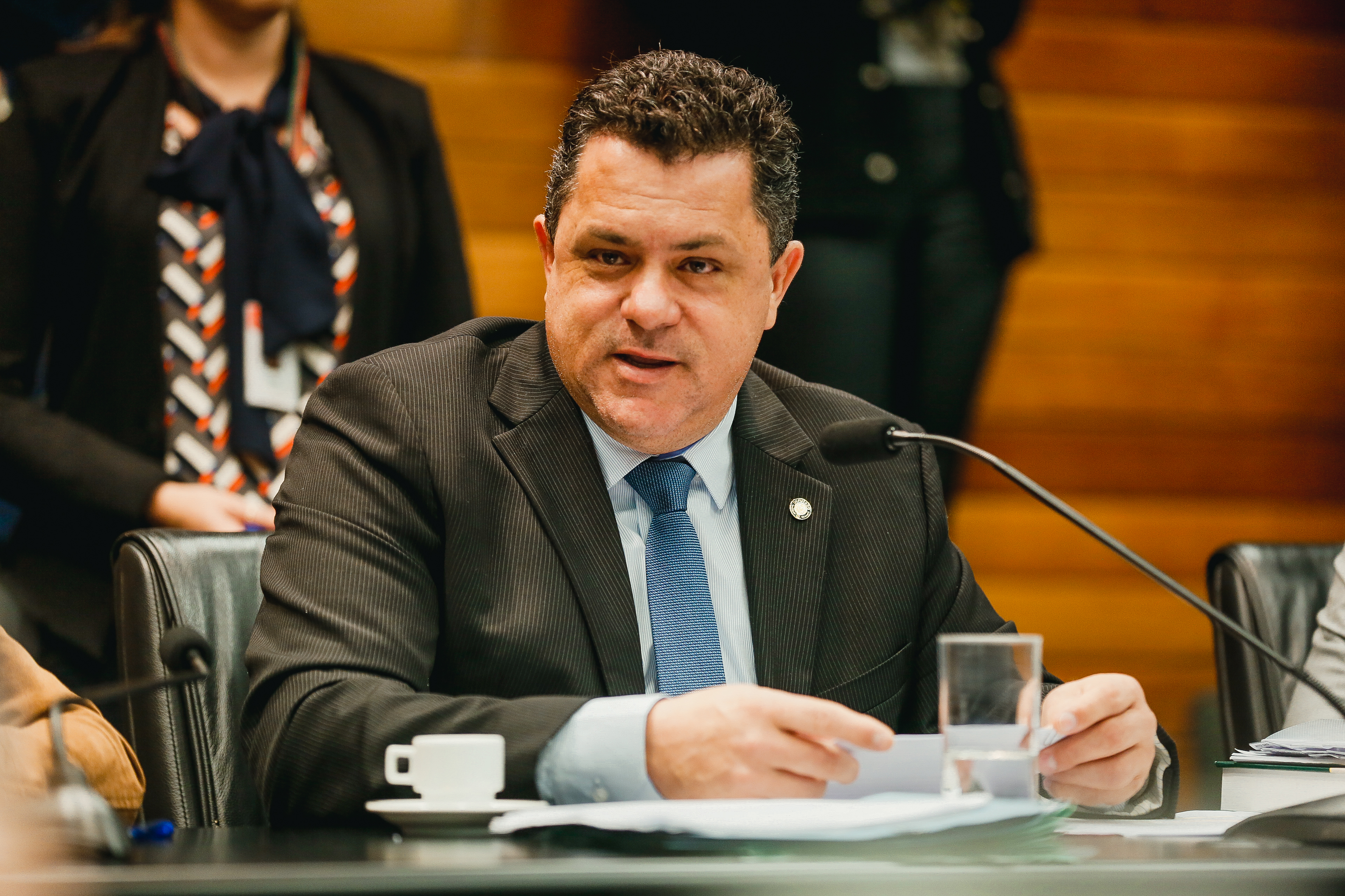 Deputado Ivan Naatz (PV)