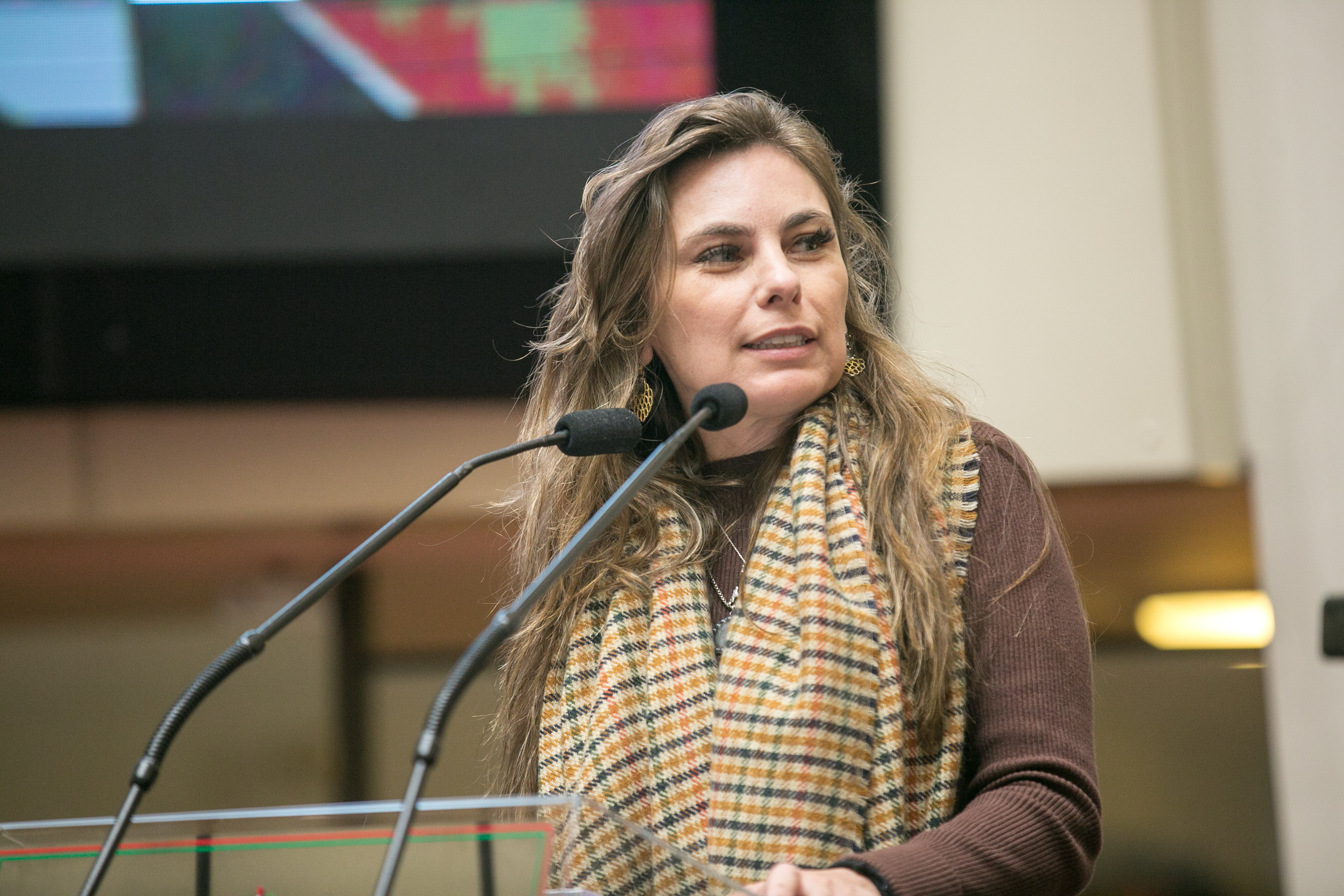 Deputada Paulinha (PDT)