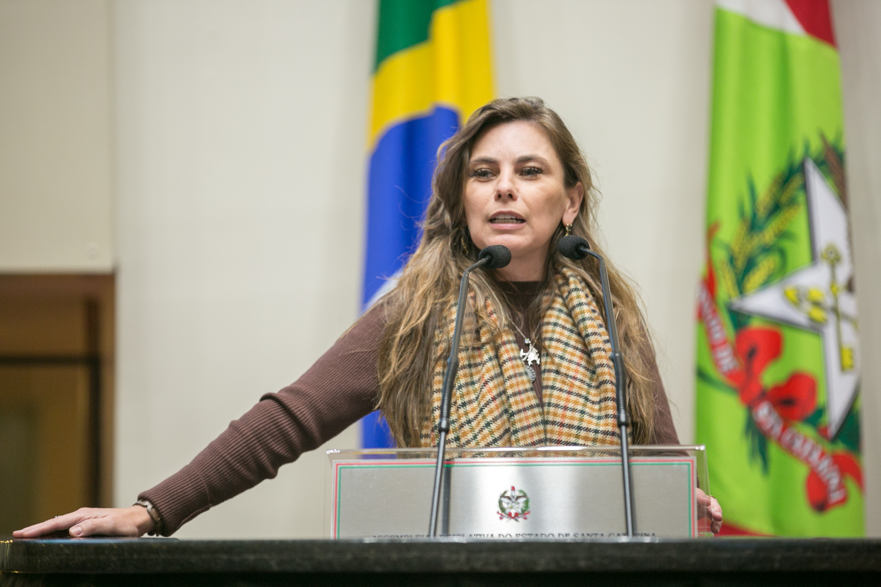Deputada Paulinha (PDT)