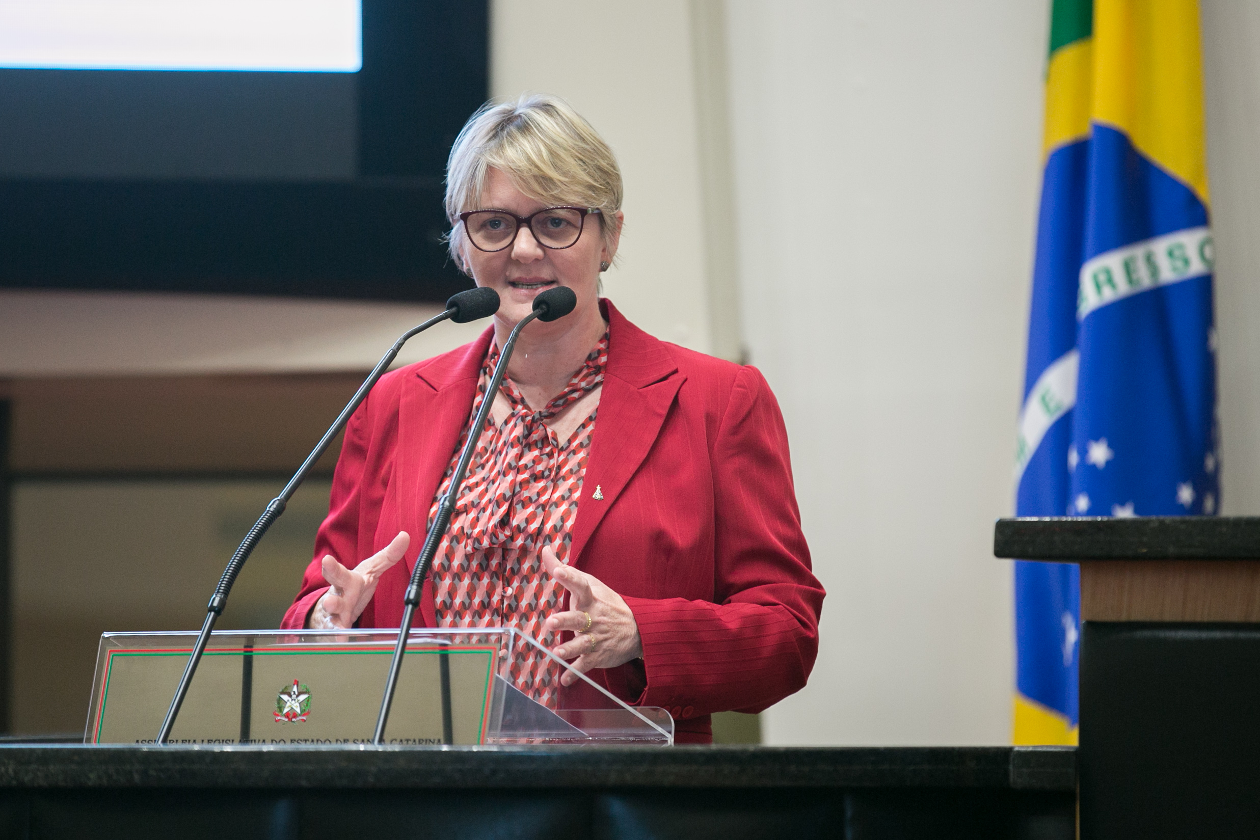Deputada Luciane Carminatti (PT)