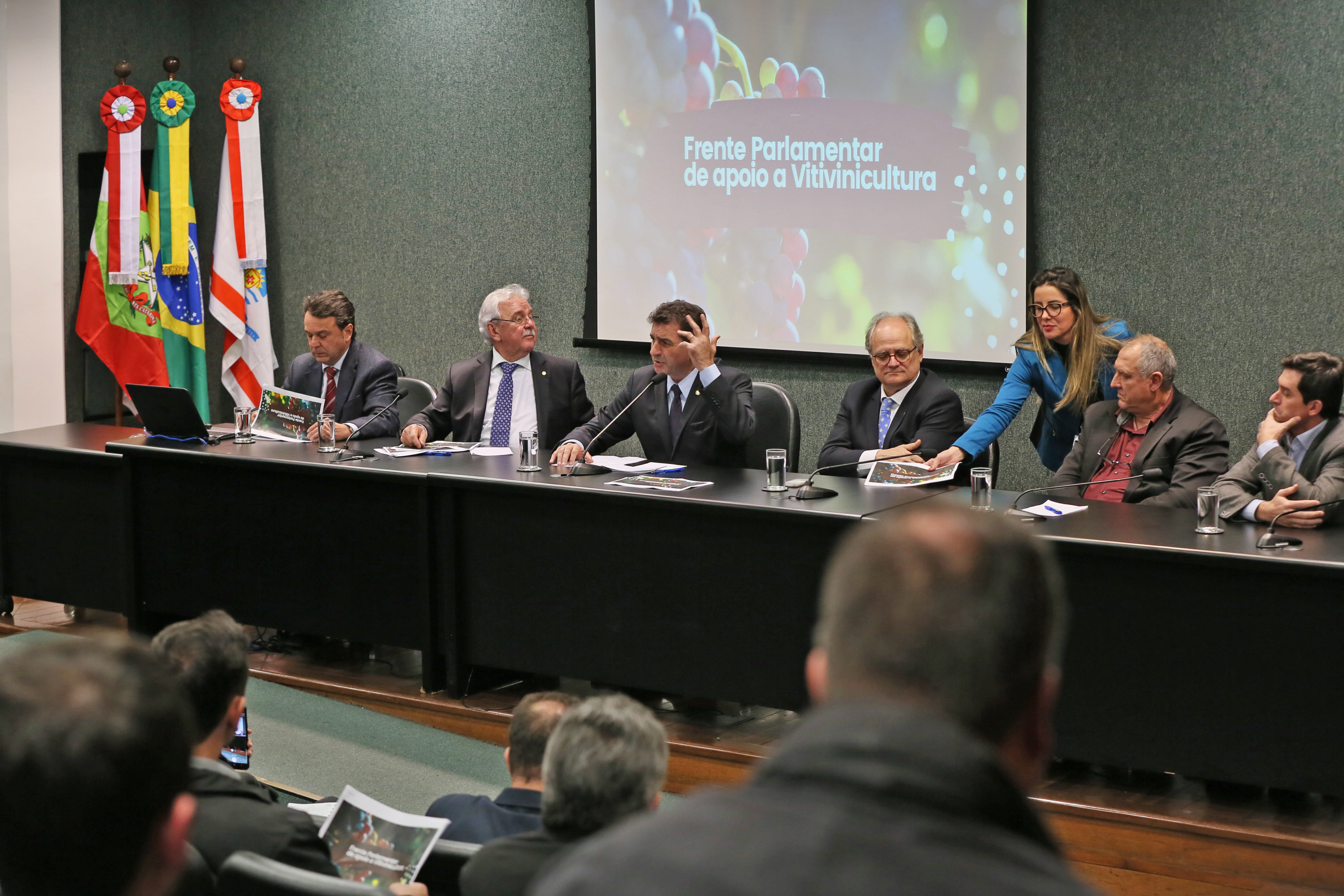 FRENTE PARLAMENTAR – Defesa da Vitivinicultura