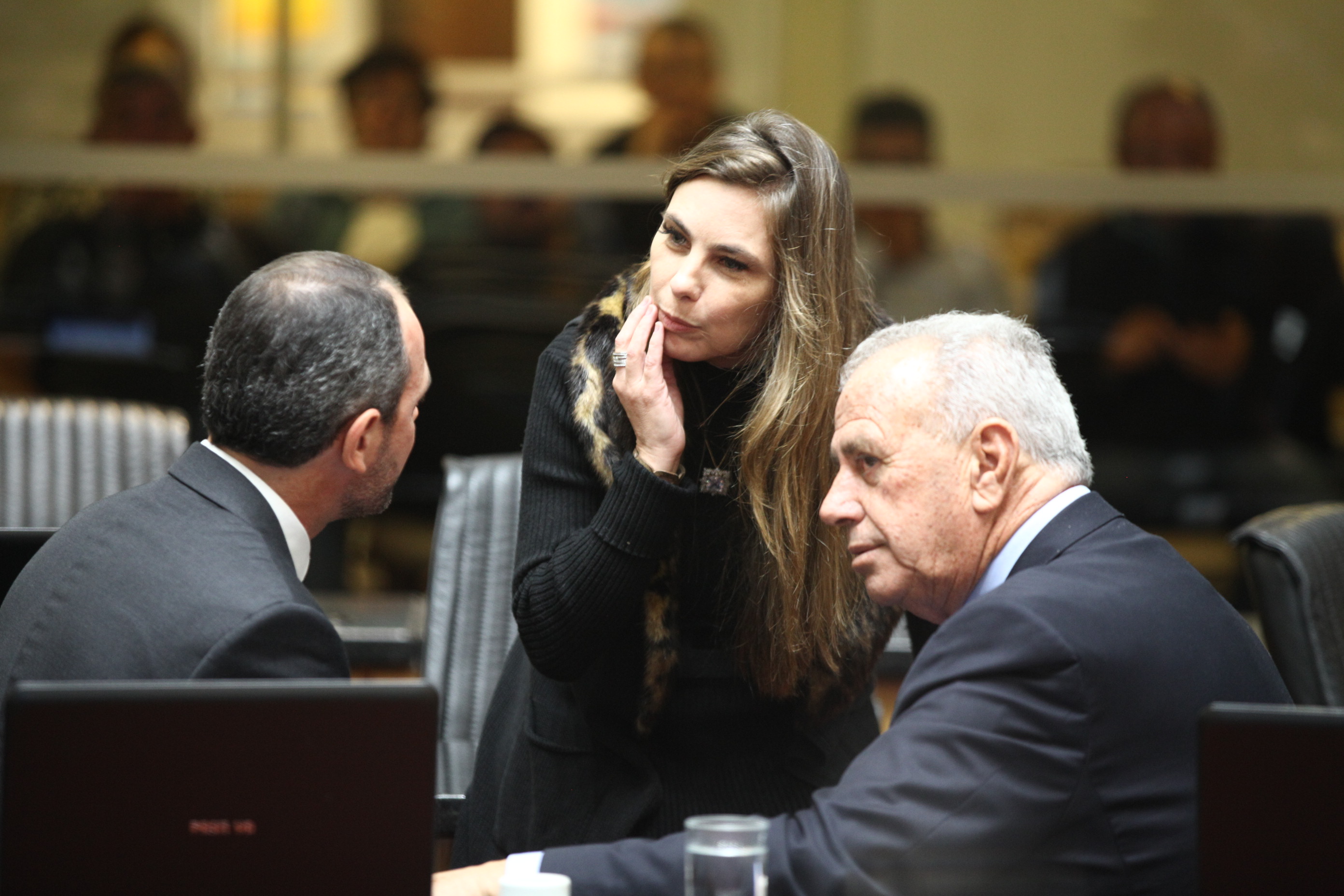 Sessão Ordinária em 03/07/2019