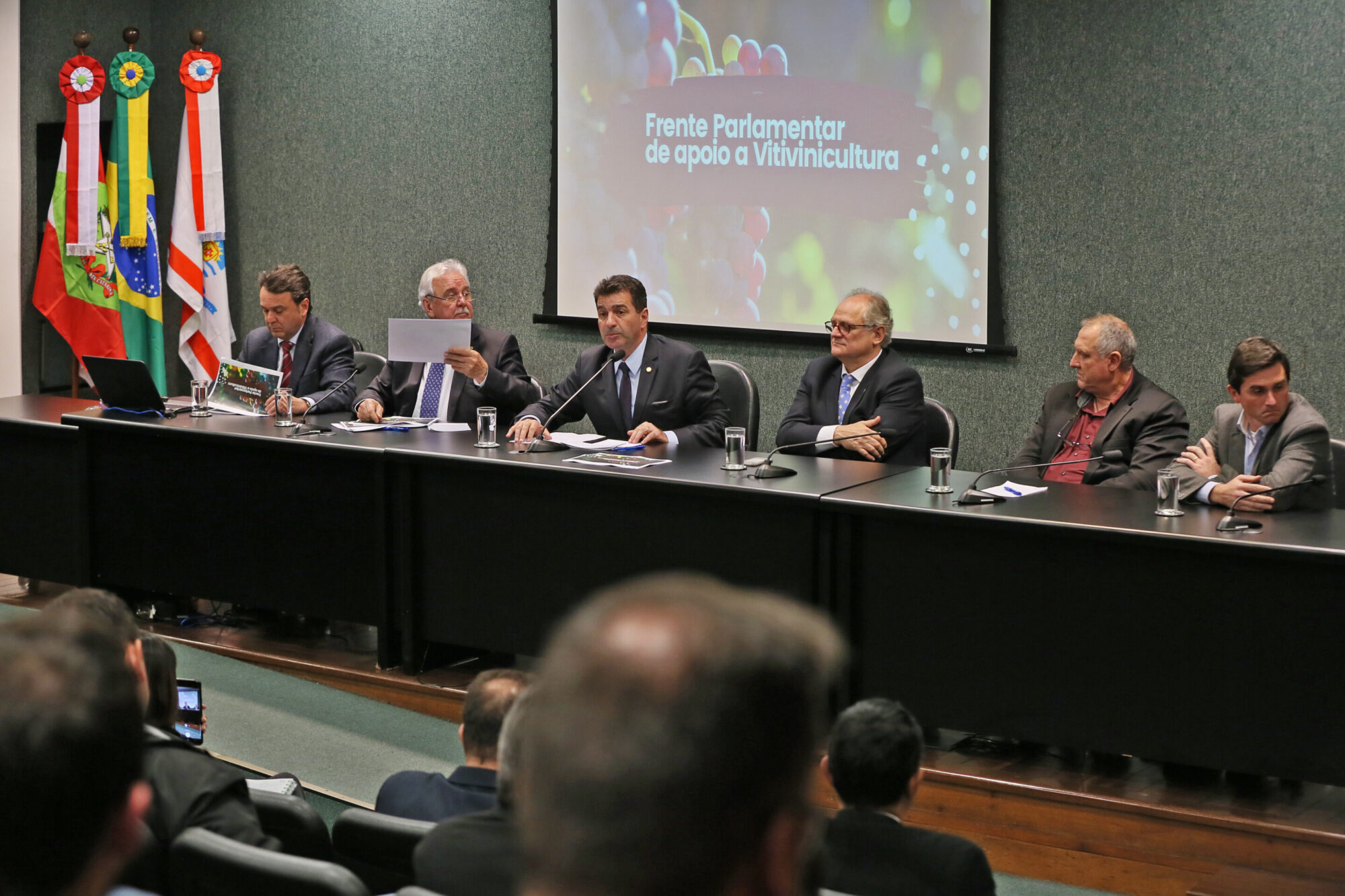 Frente parlamentar vai ouvir demandas dos produtores de uva e vinho de SC