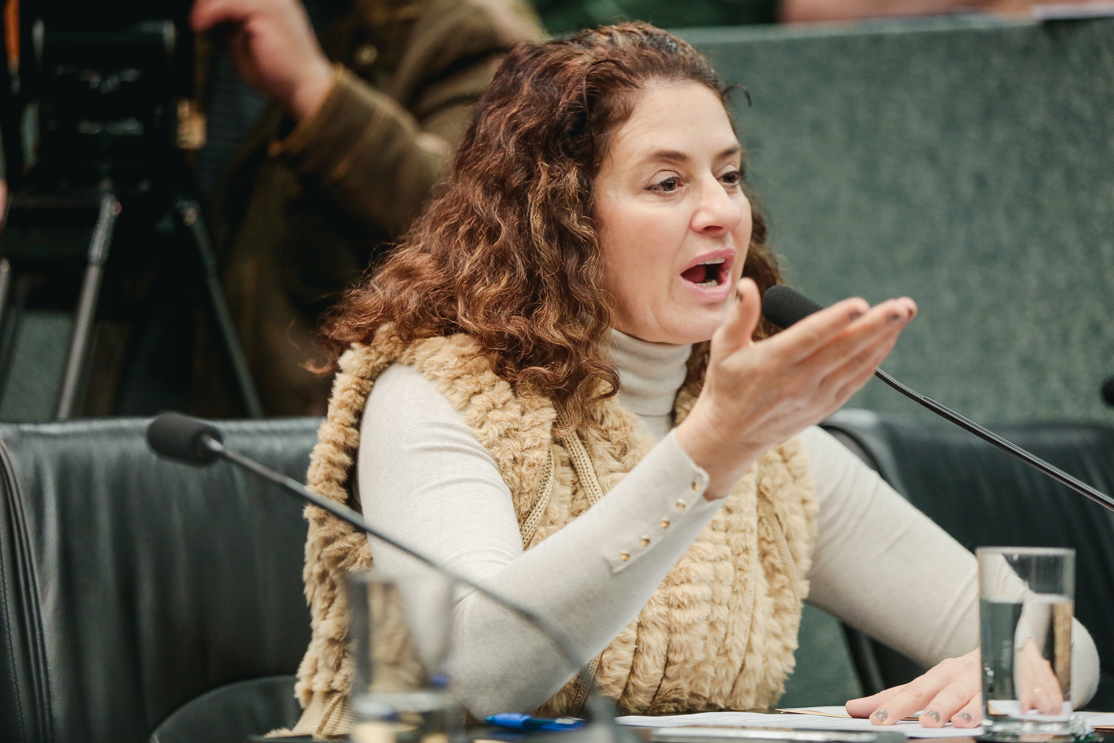 Deputada Marlene Fengler (PSD)