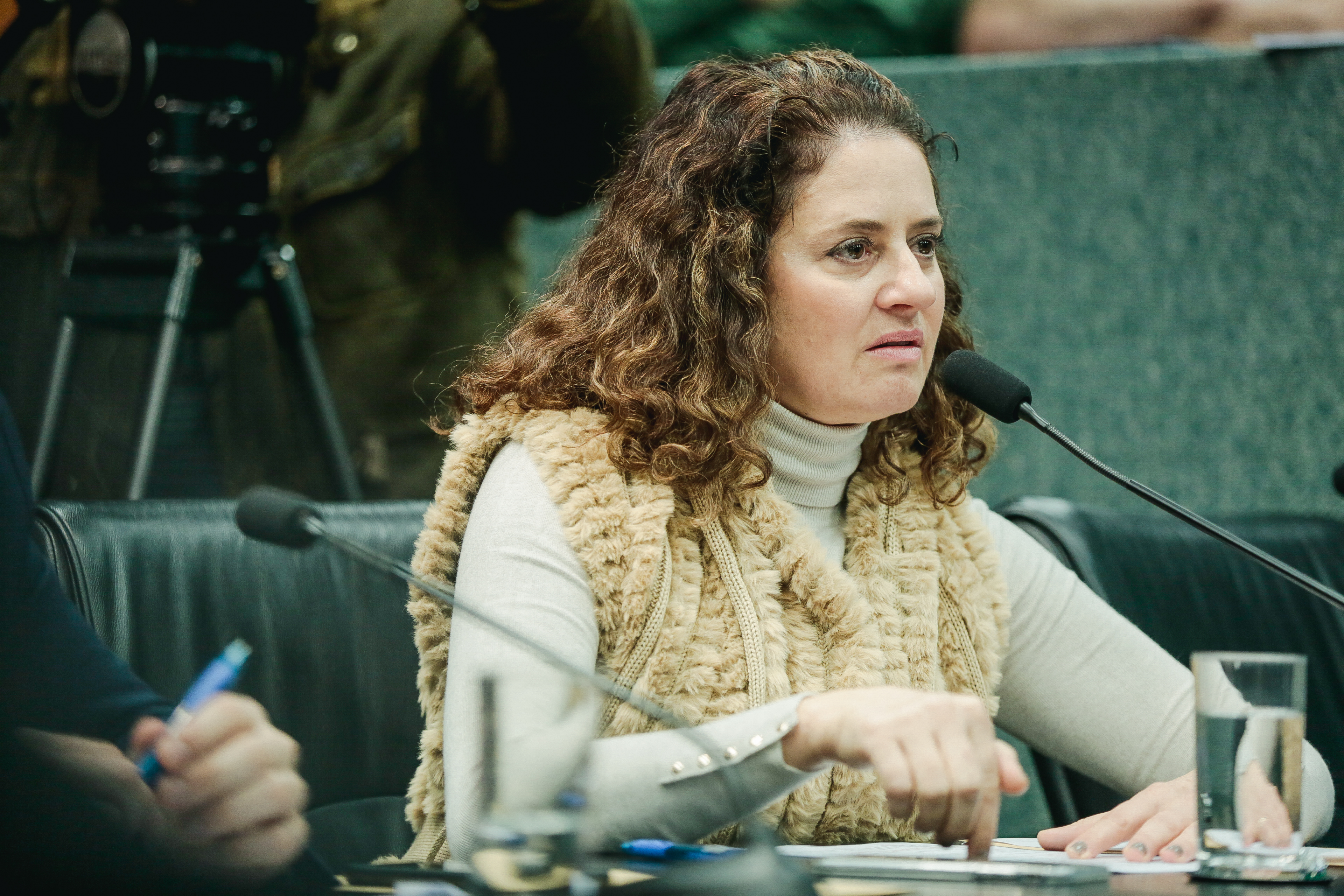 Deputada Marlene Fengler (PSD)