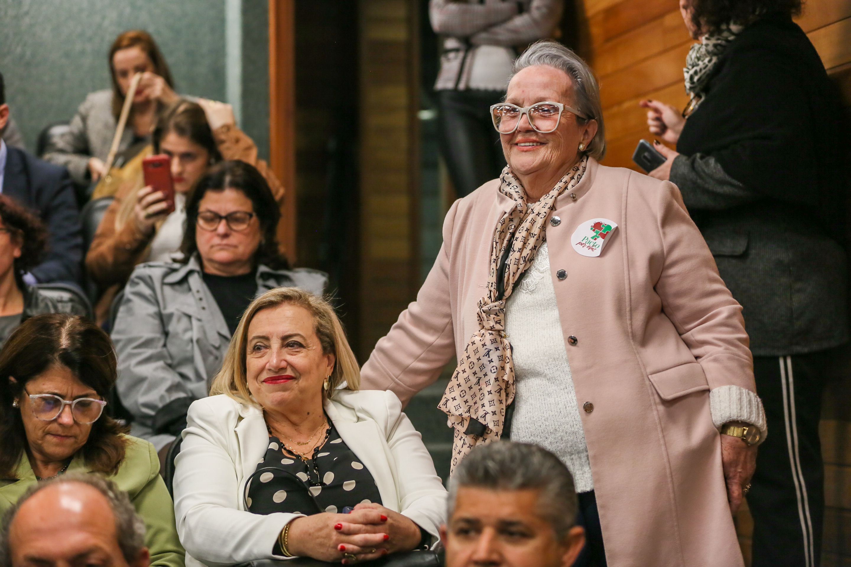 FRENTE PARLAMENTAR – Combate à violência contra a mulher