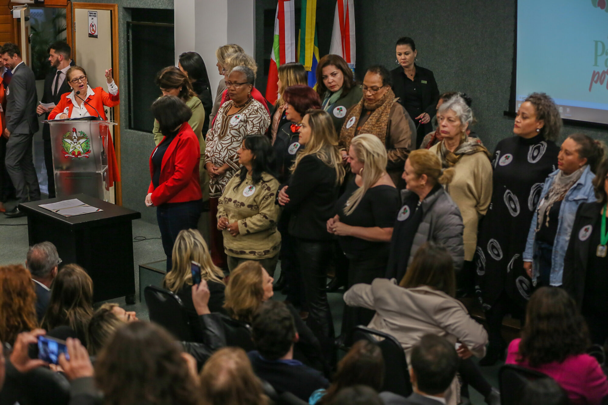 Frente parlamentar lança pacto de combate à violência contra a mulher