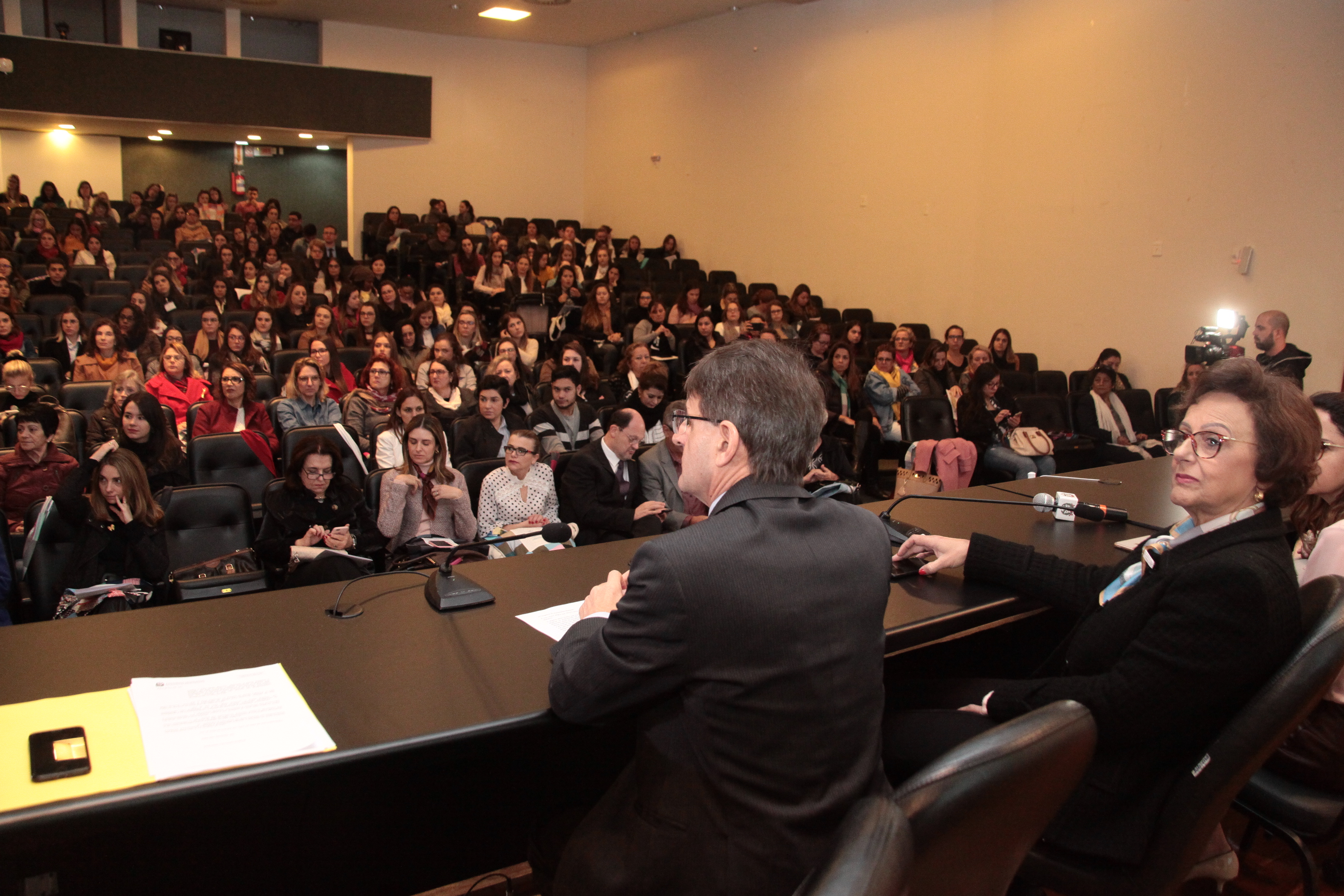 IV Congresso do Aleitamento Materno