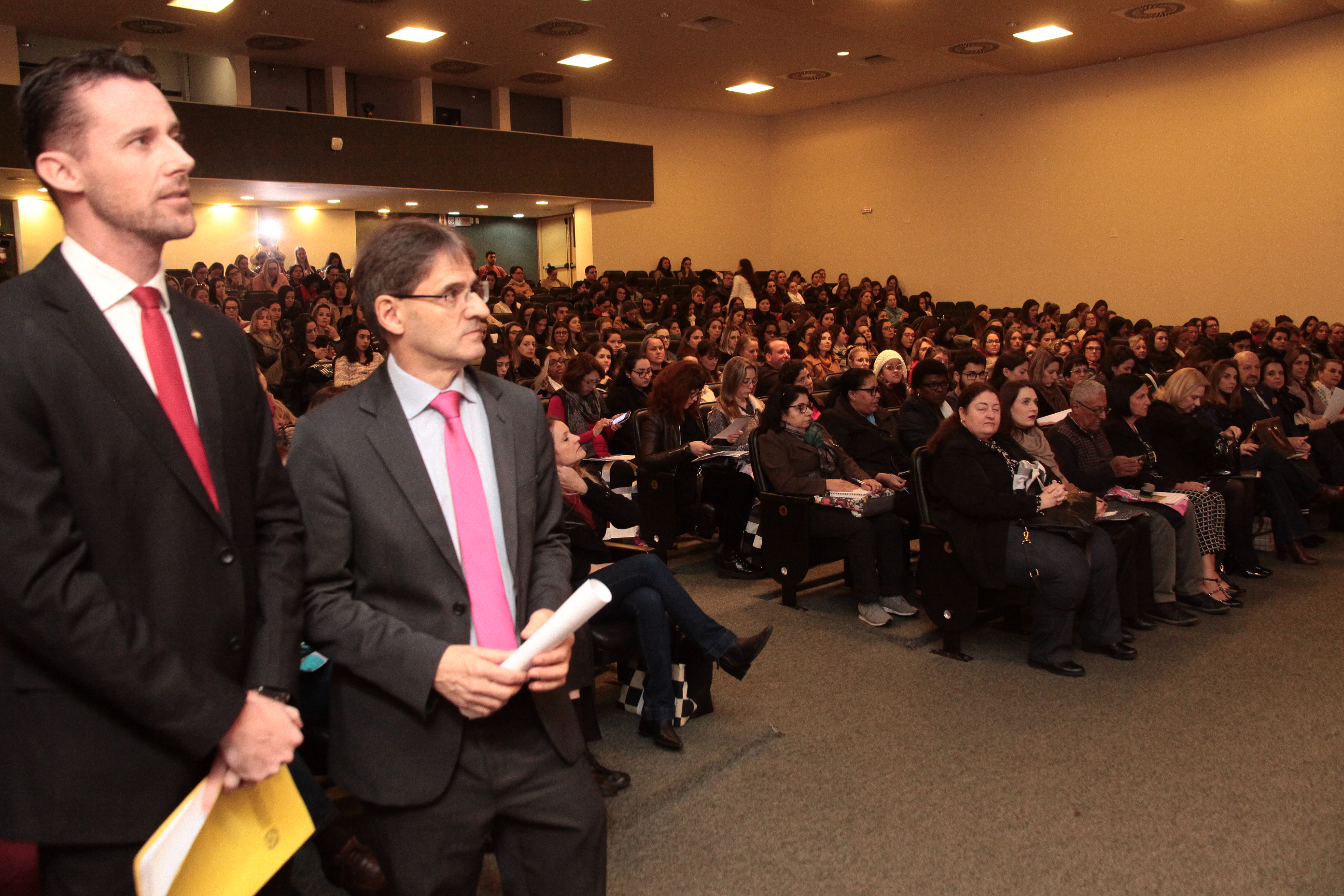 IV Congresso do Aleitamento Materno