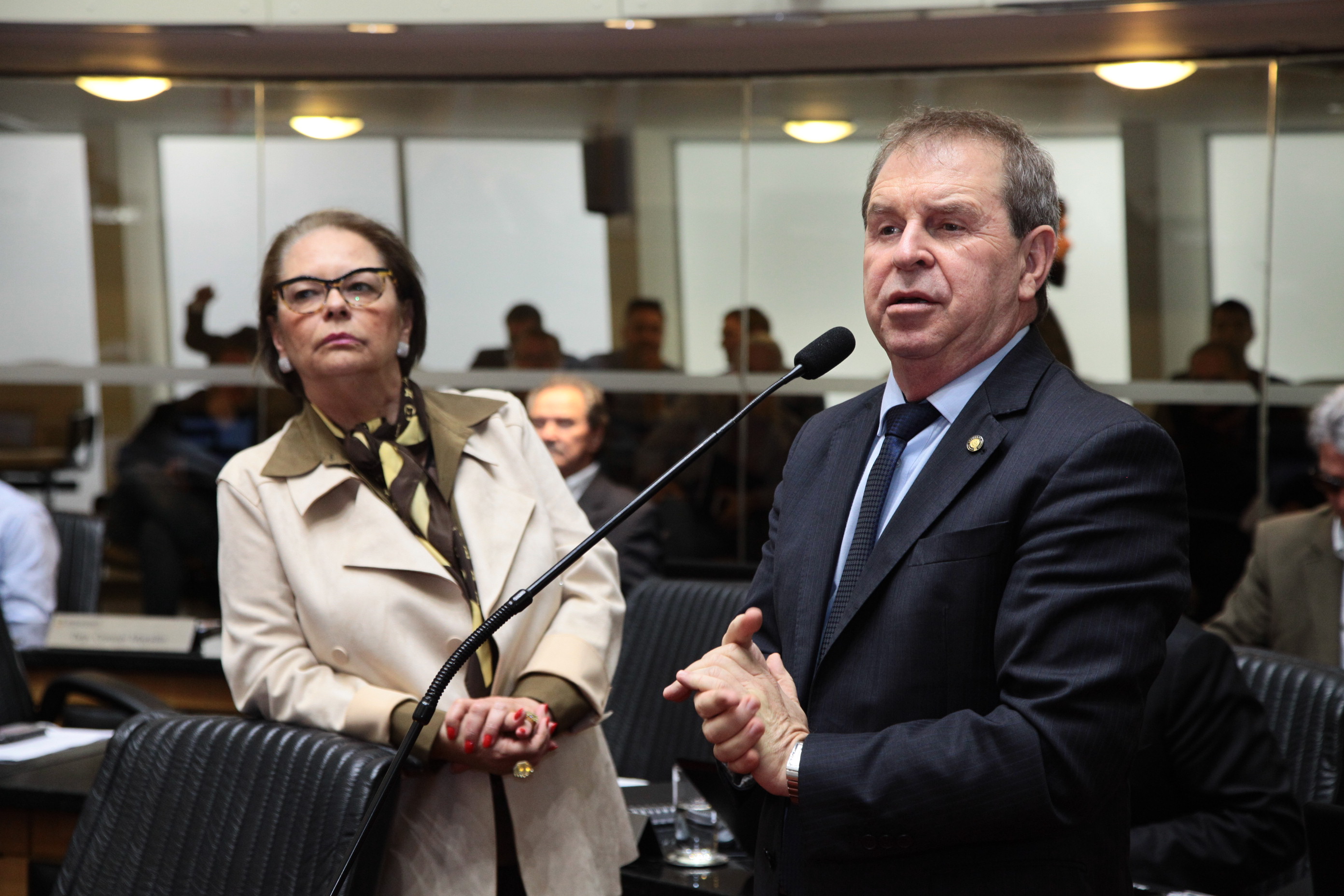 Sessão Ordinária em 10/07/2019 - Deputado Maurício Eskudlark (PR)