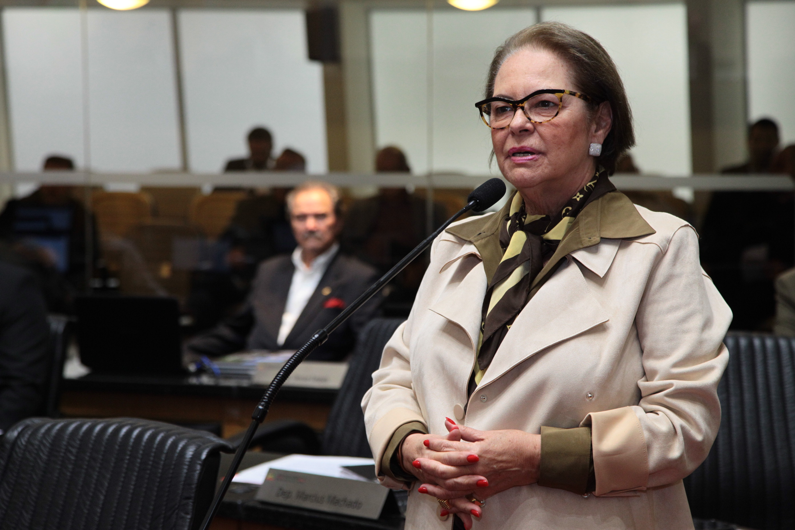 Sessão Ordinária em 10/07/2019 - Deputada Ada Faraco de Luca (MDB)