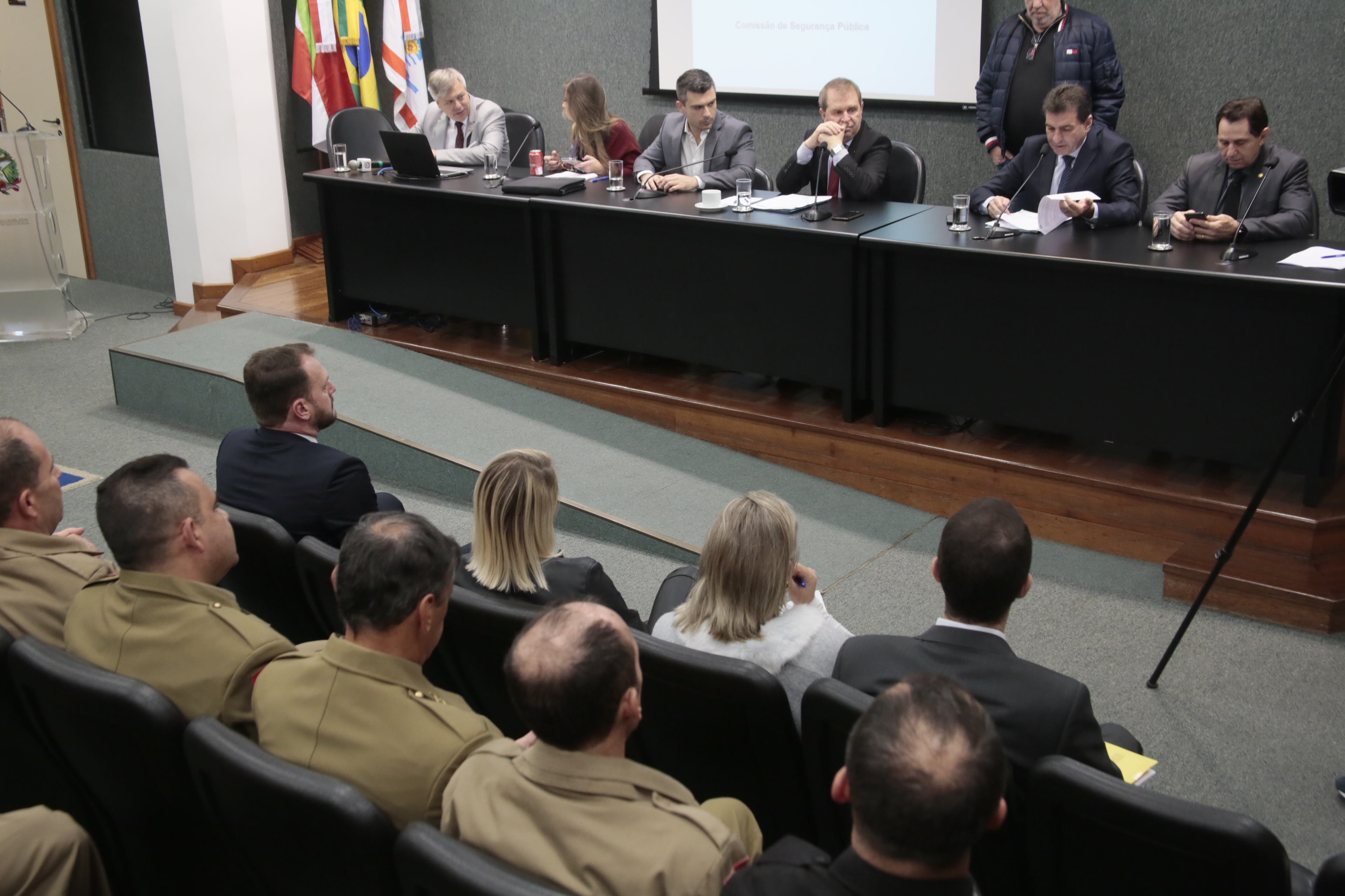 Comissão de Segurança Pública