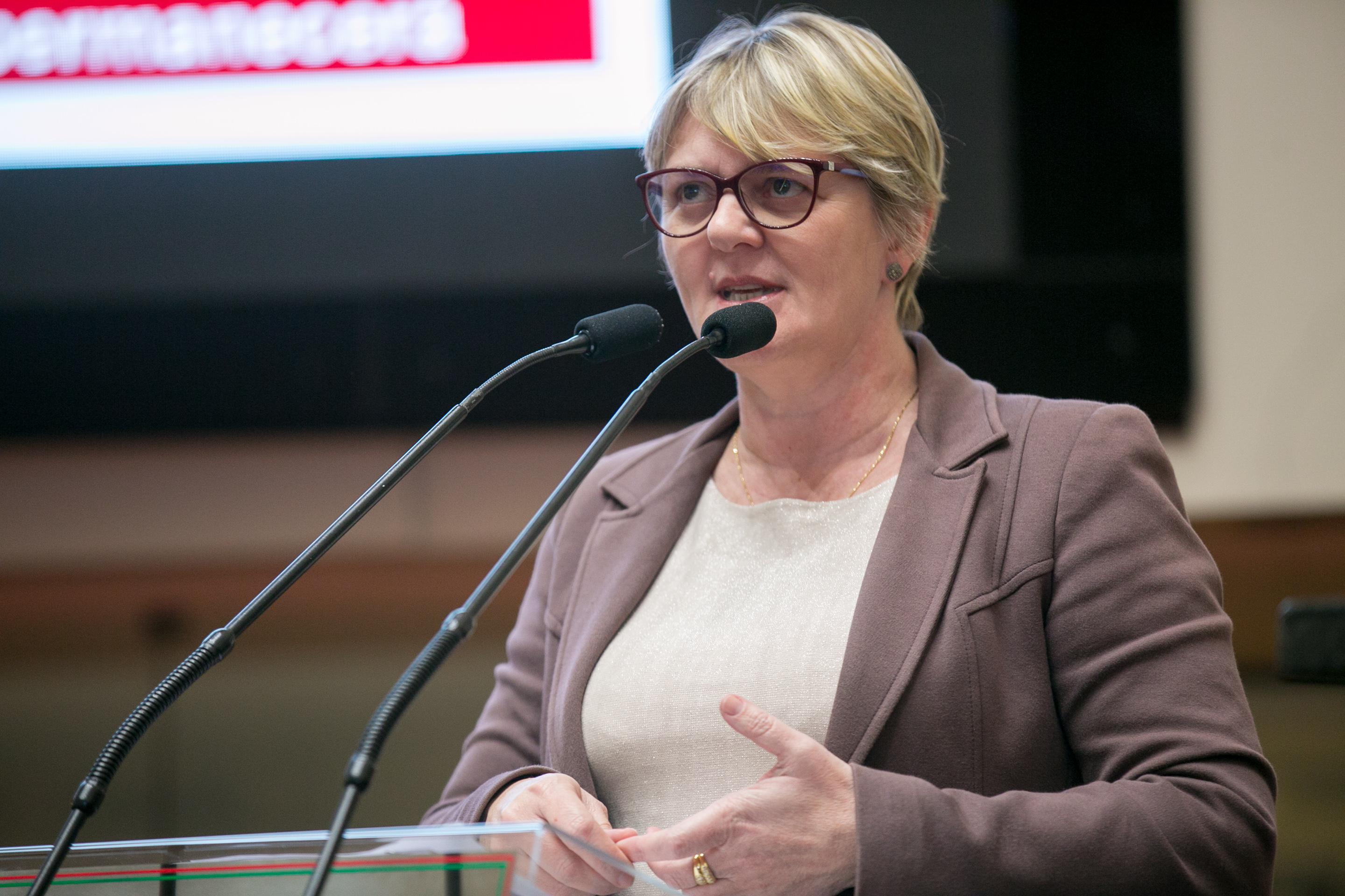 Deputada Luciane Carminatti (PT)