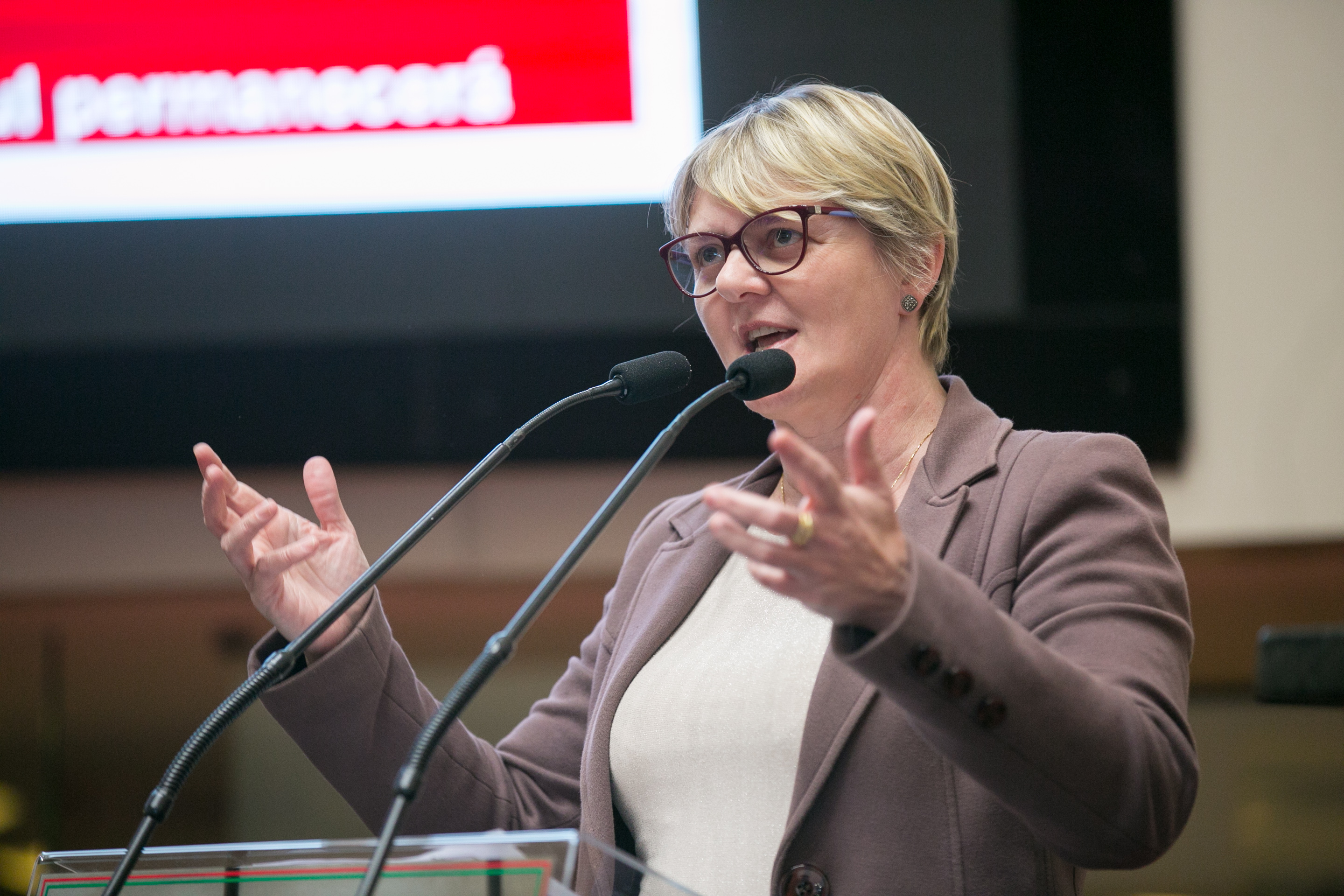 Deputada Luciane Carminatti (PT)