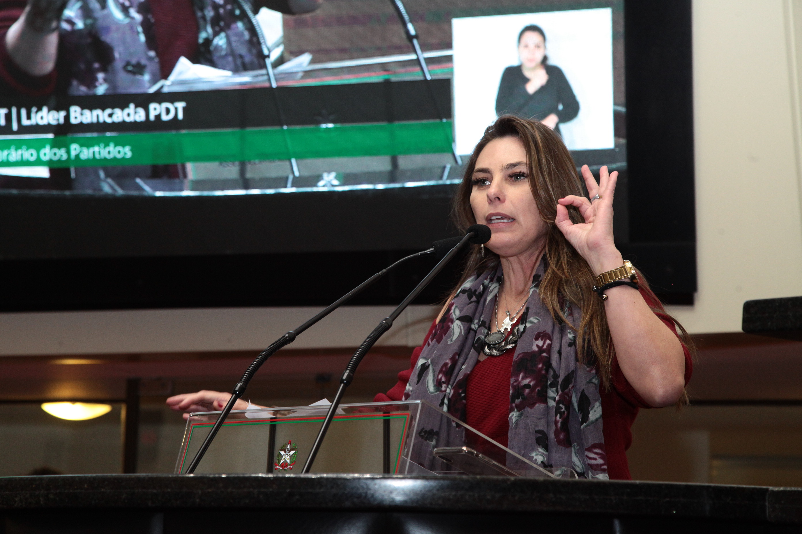 Sessão Ordinária em /07/2019 - Deputada Ana Paula da Silva (PDT)