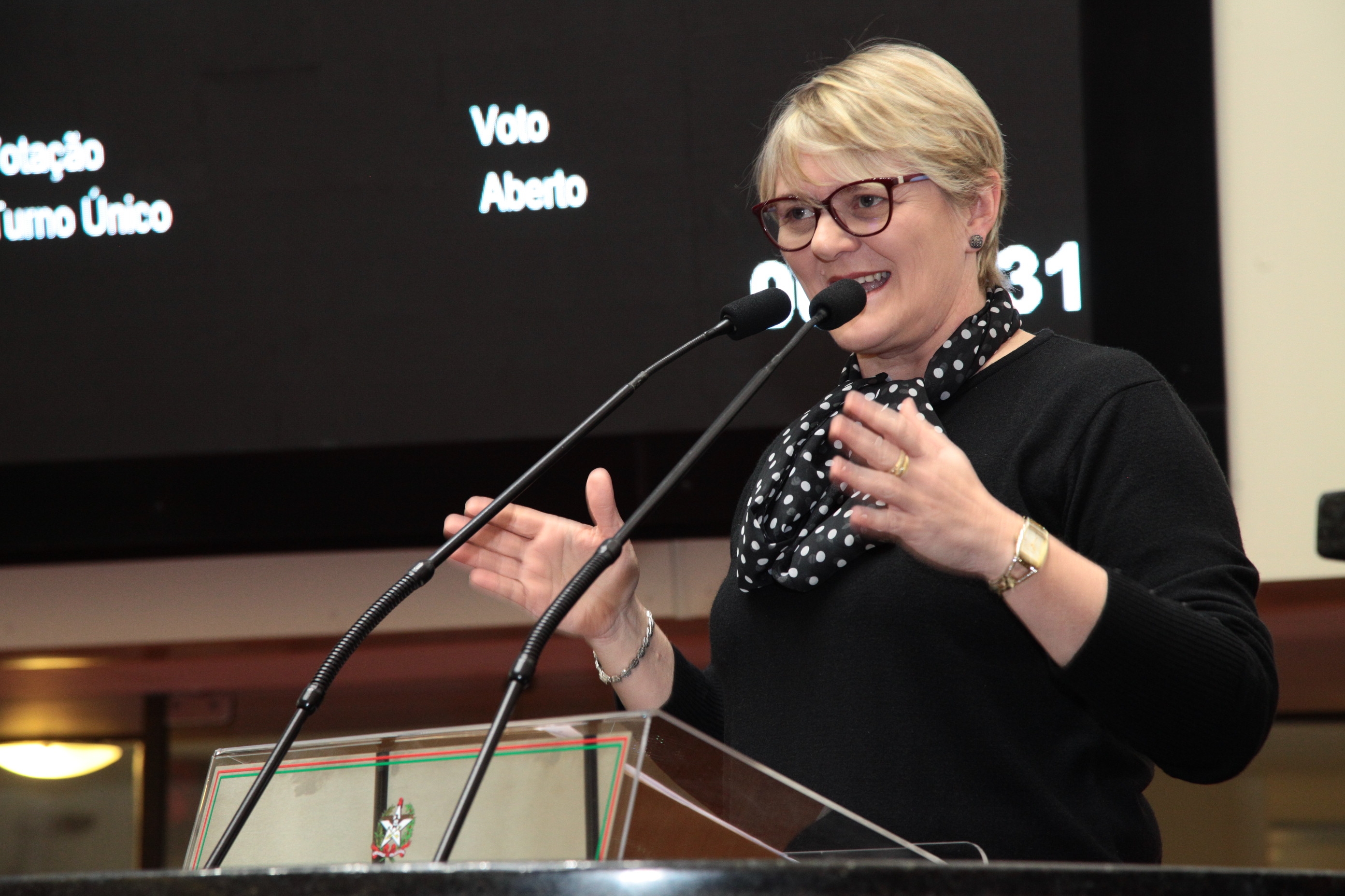 Sessão Ordinária em 17/07/2019 - Deputada Luciane Carminatti (PT)