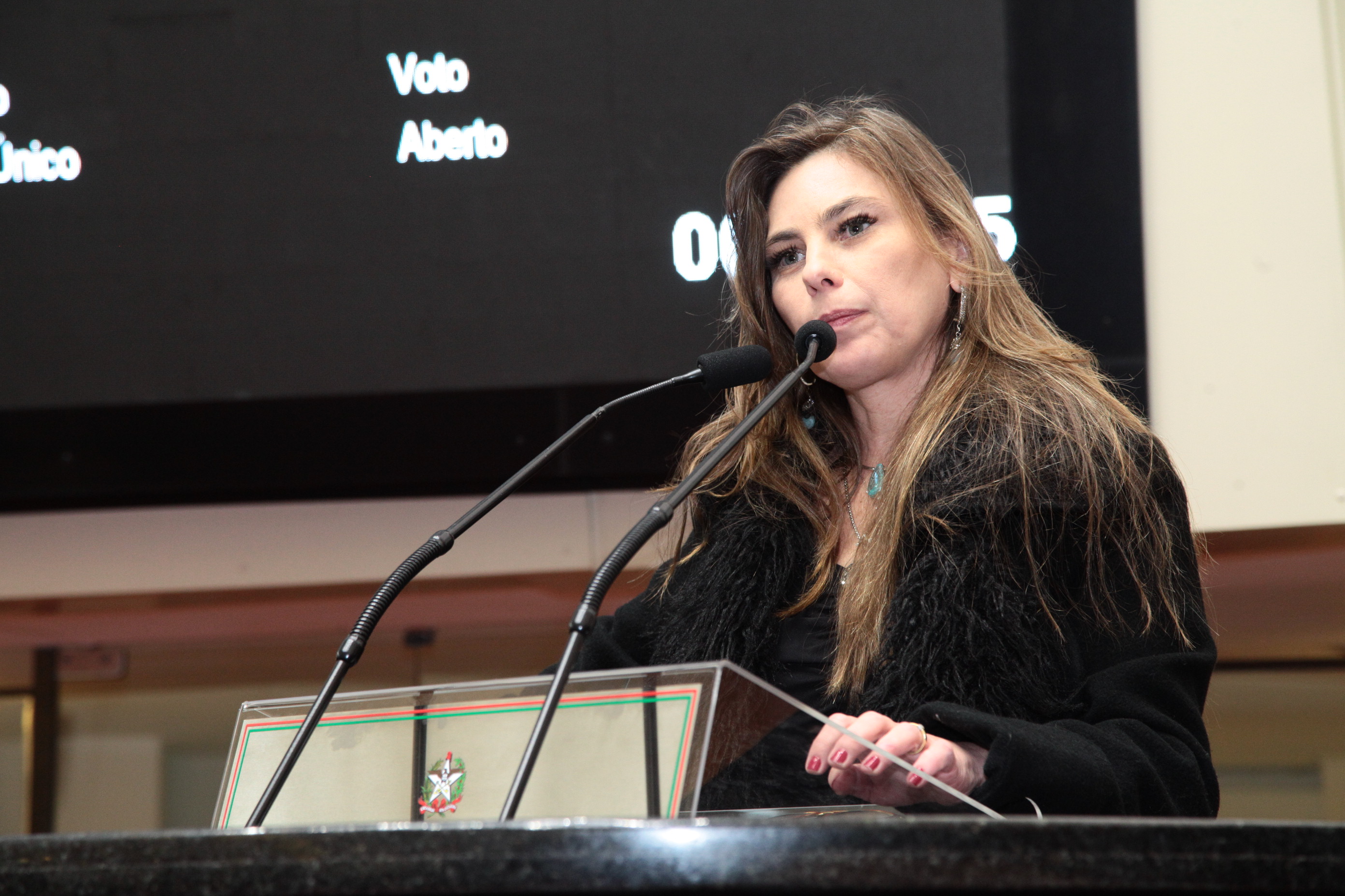 Sessão Ordinária em 17/07/2019 - Deputada Ana Paula da Silva (PDT)