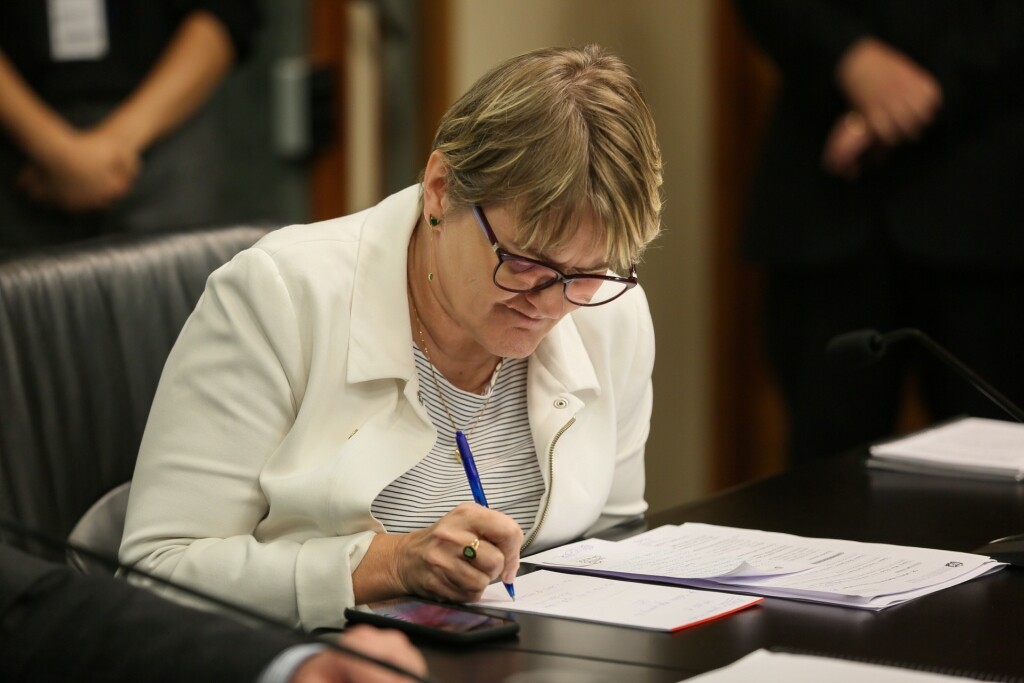 Deputada Luciane Carminatti