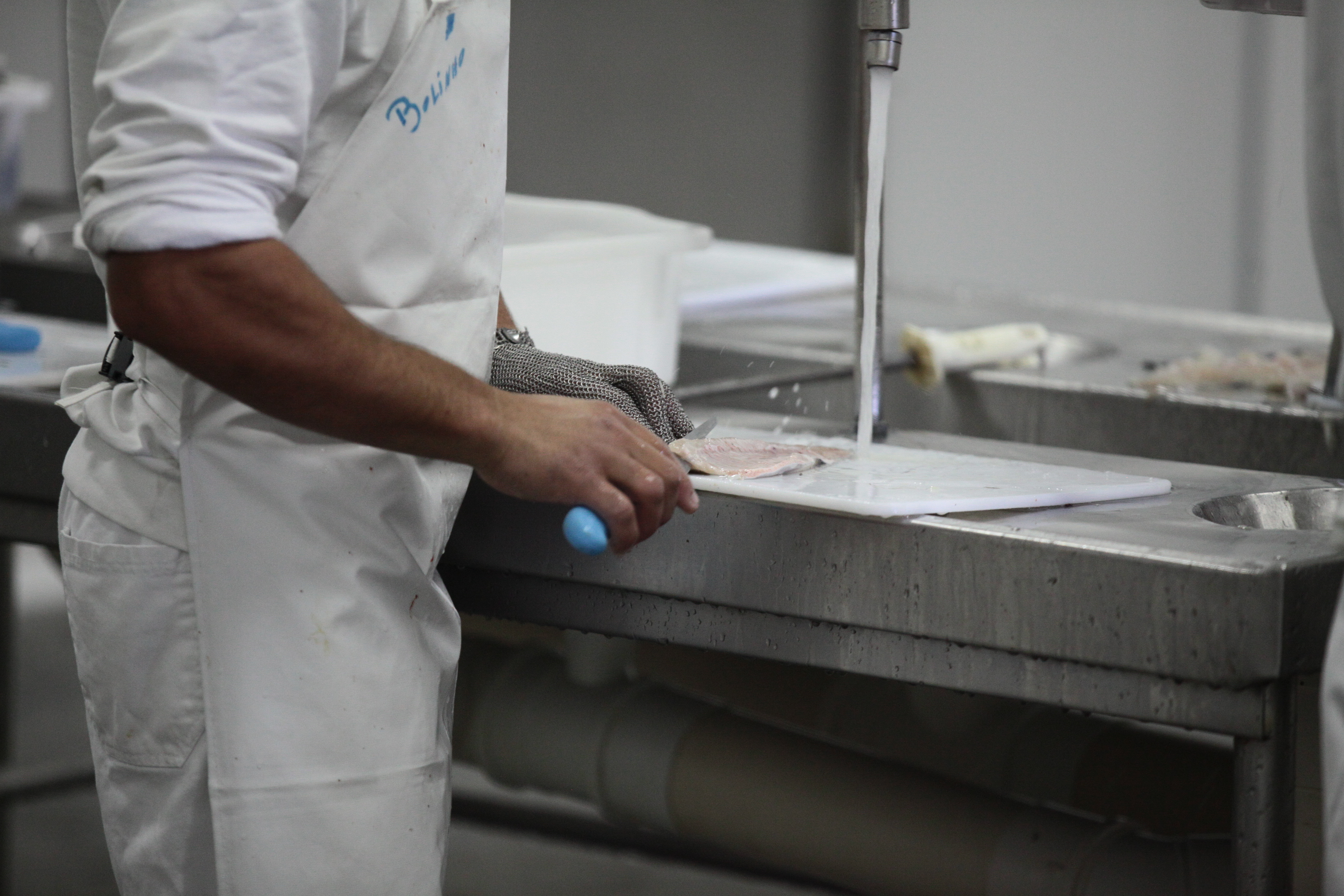 Piscicultura em Santa Catarina - Processamento de trutas criadas na região de Lages