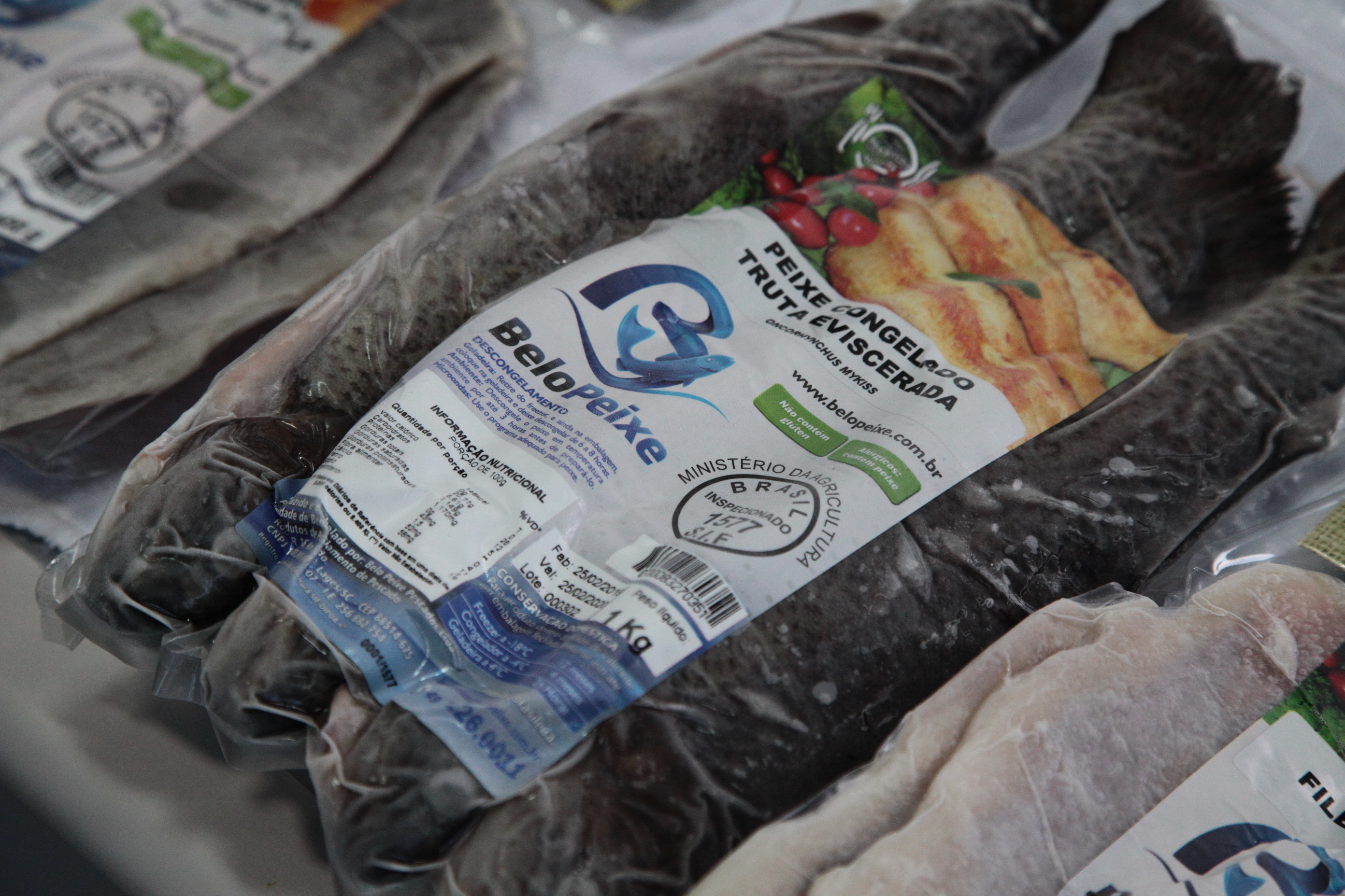 Piscicultura em Santa Catarina - Trutas prontas para comercialização