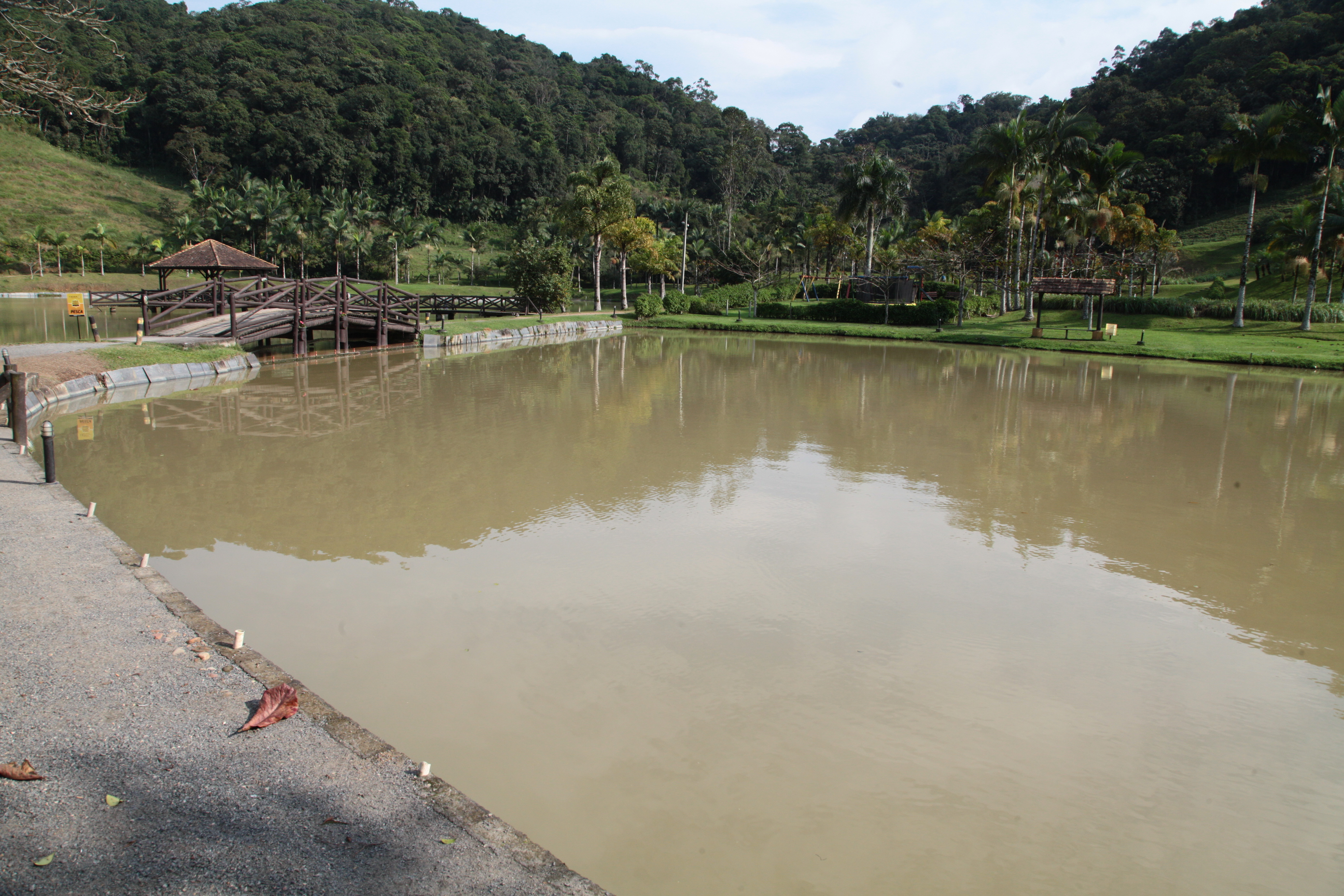 Piscicultura em Santa Catarina - Tanque de Tilápia