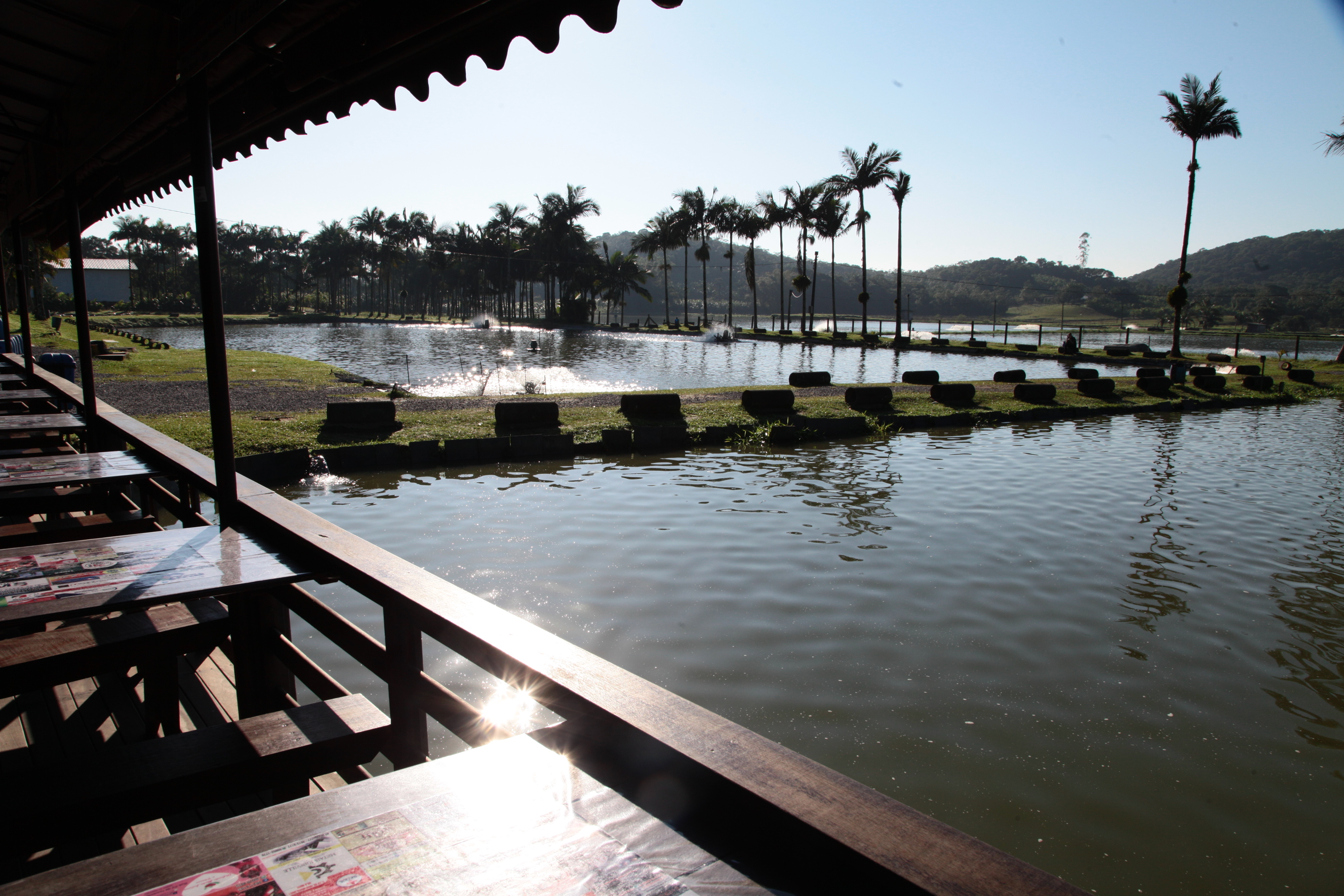 Piscicultura em Santa Catarina