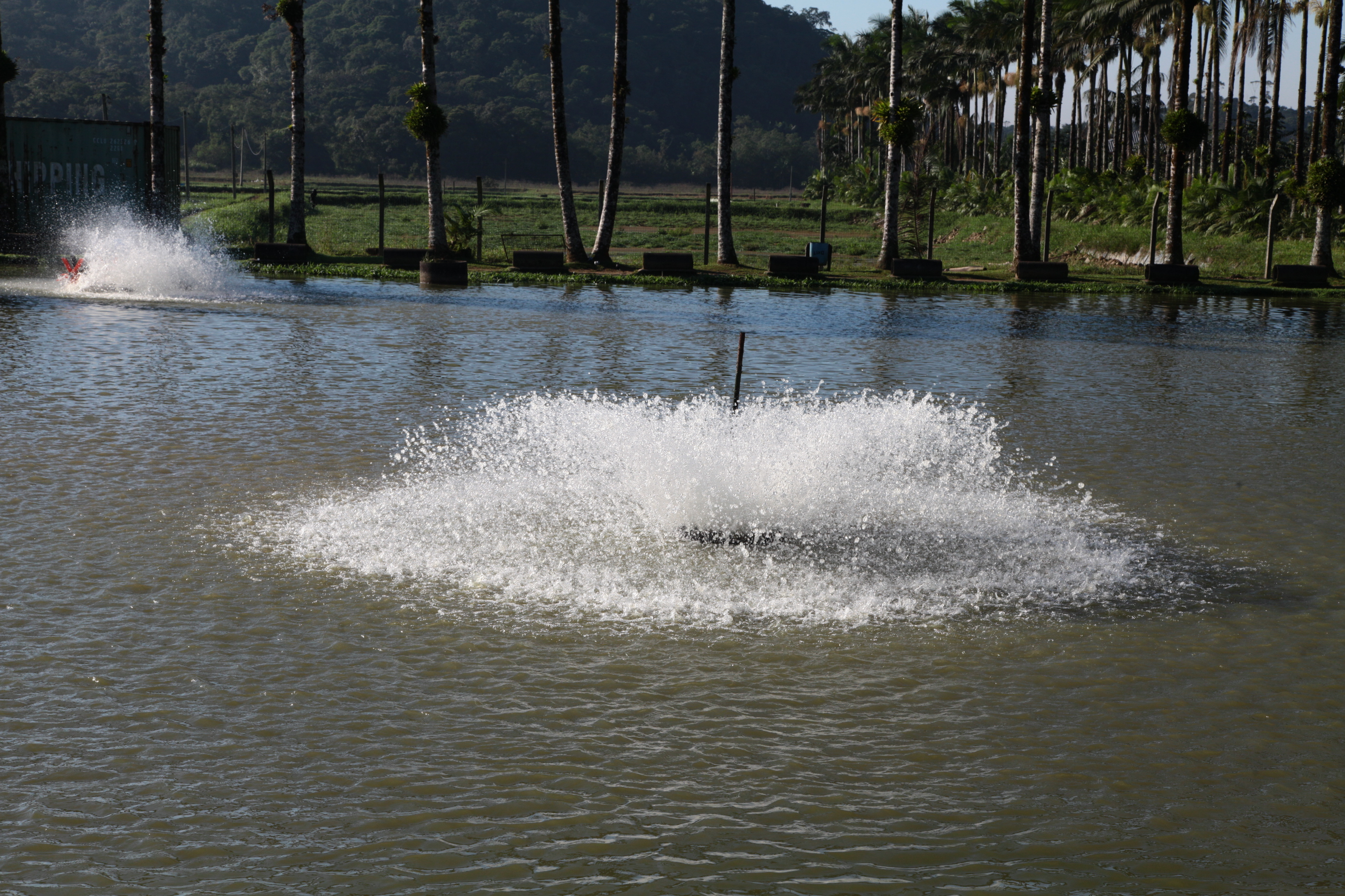 Piscicultura em Santa Catarina - Aerador, responsável pela oxigenação da água do tanque