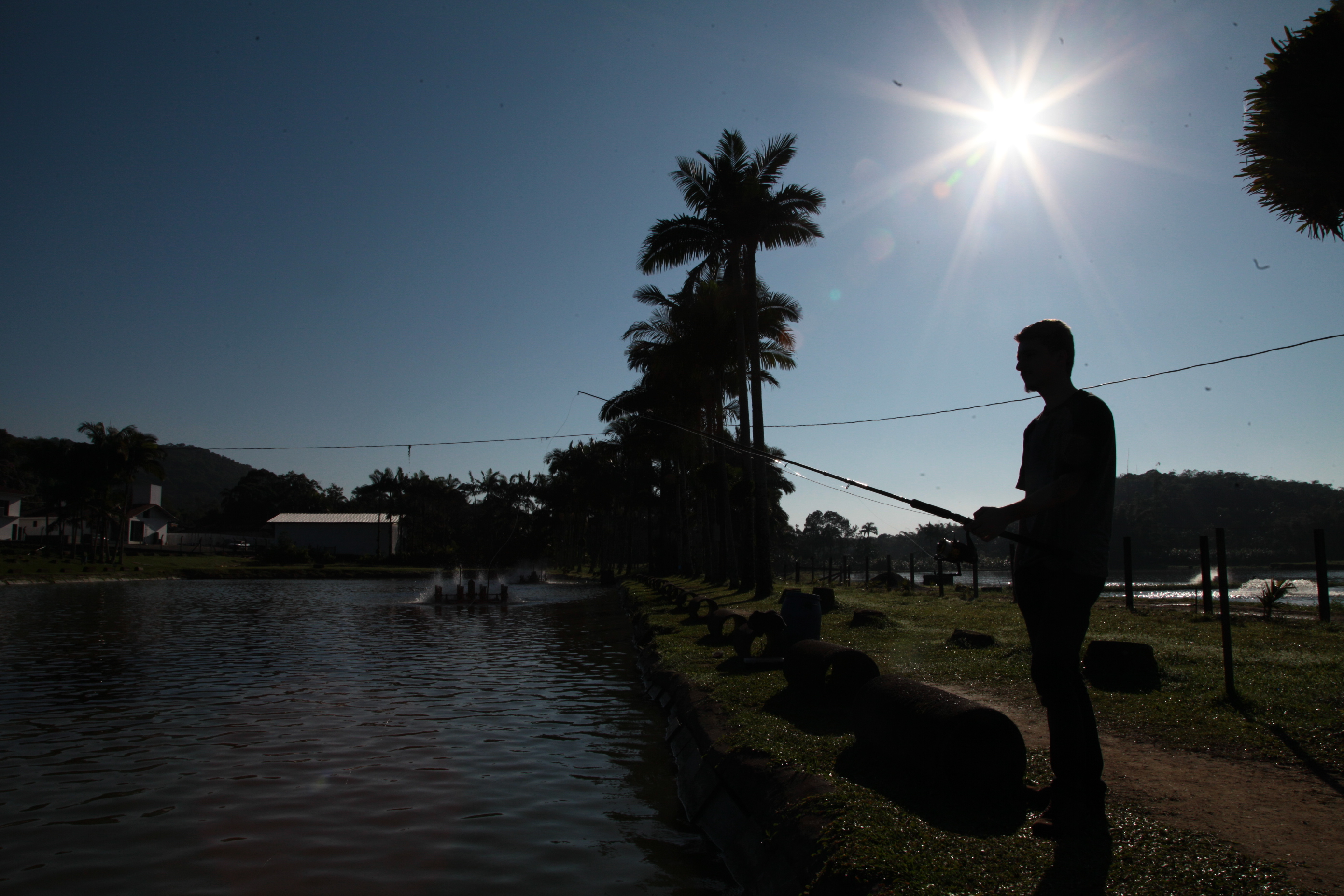 Piscicultura em Santa Catarina