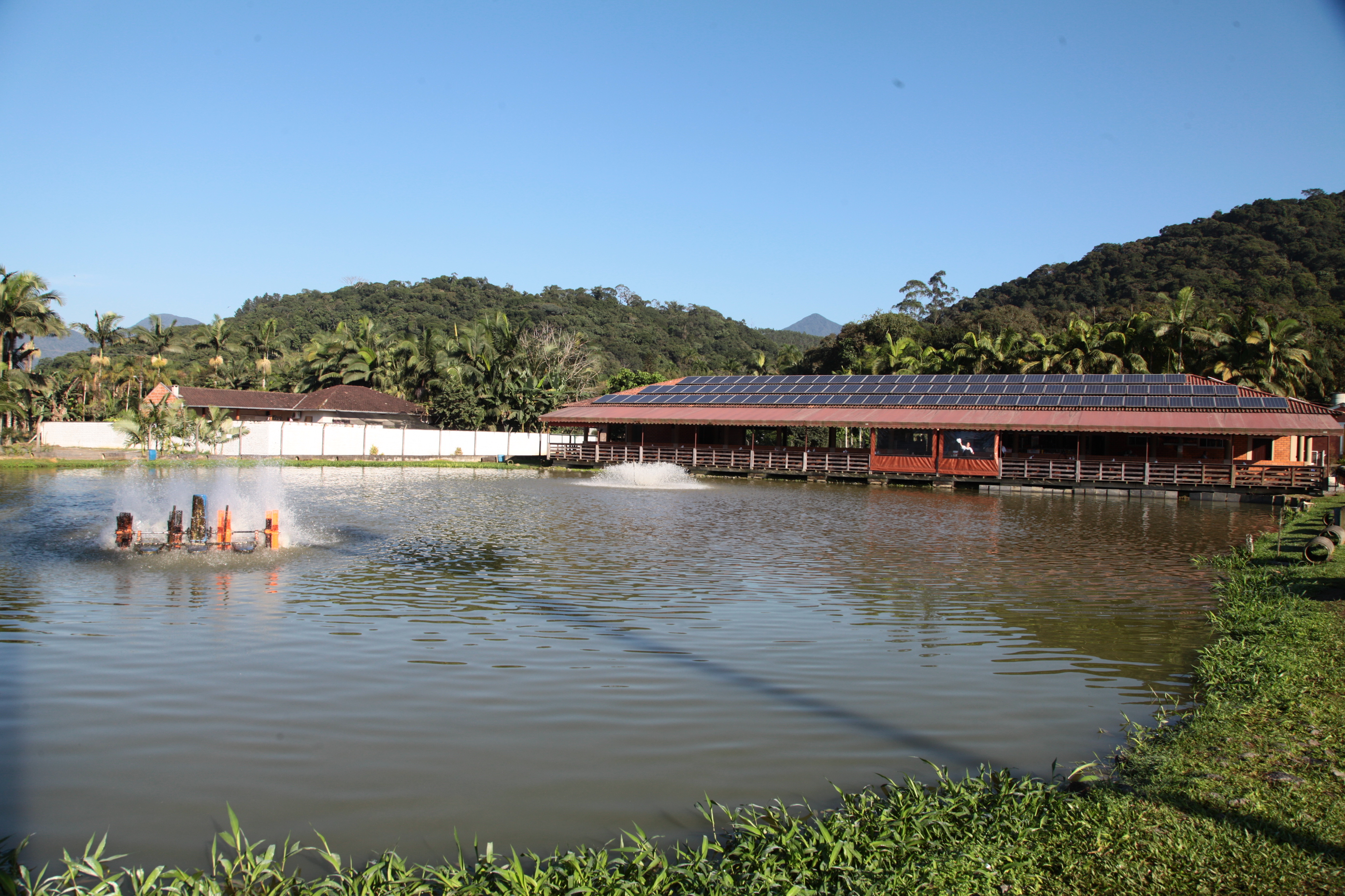 Piscicultura em Santa Catarina