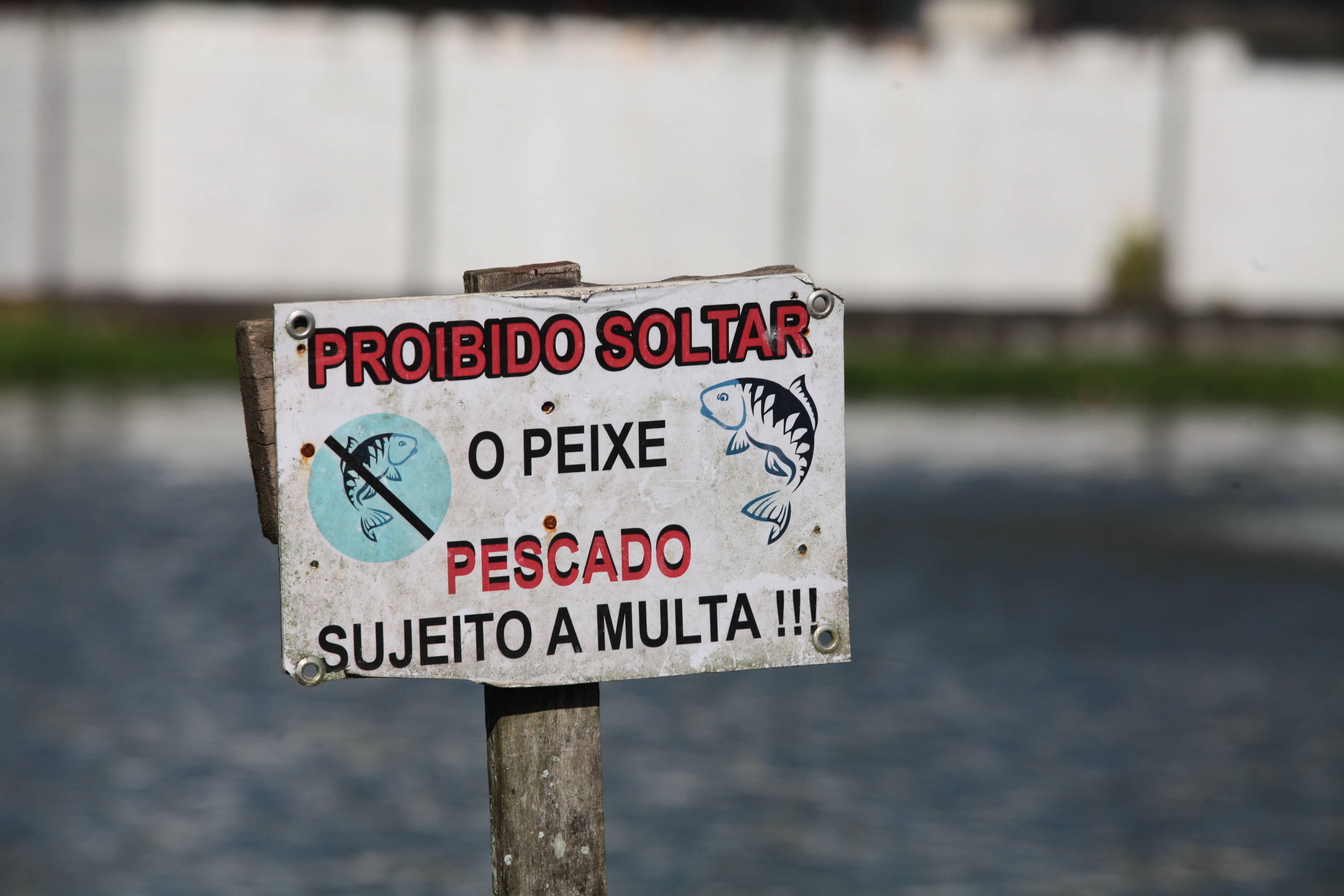 Piscicultura em Santa Catarina - Um dos muitos cuidados com a qualidade do peixe produzido em cativeiro