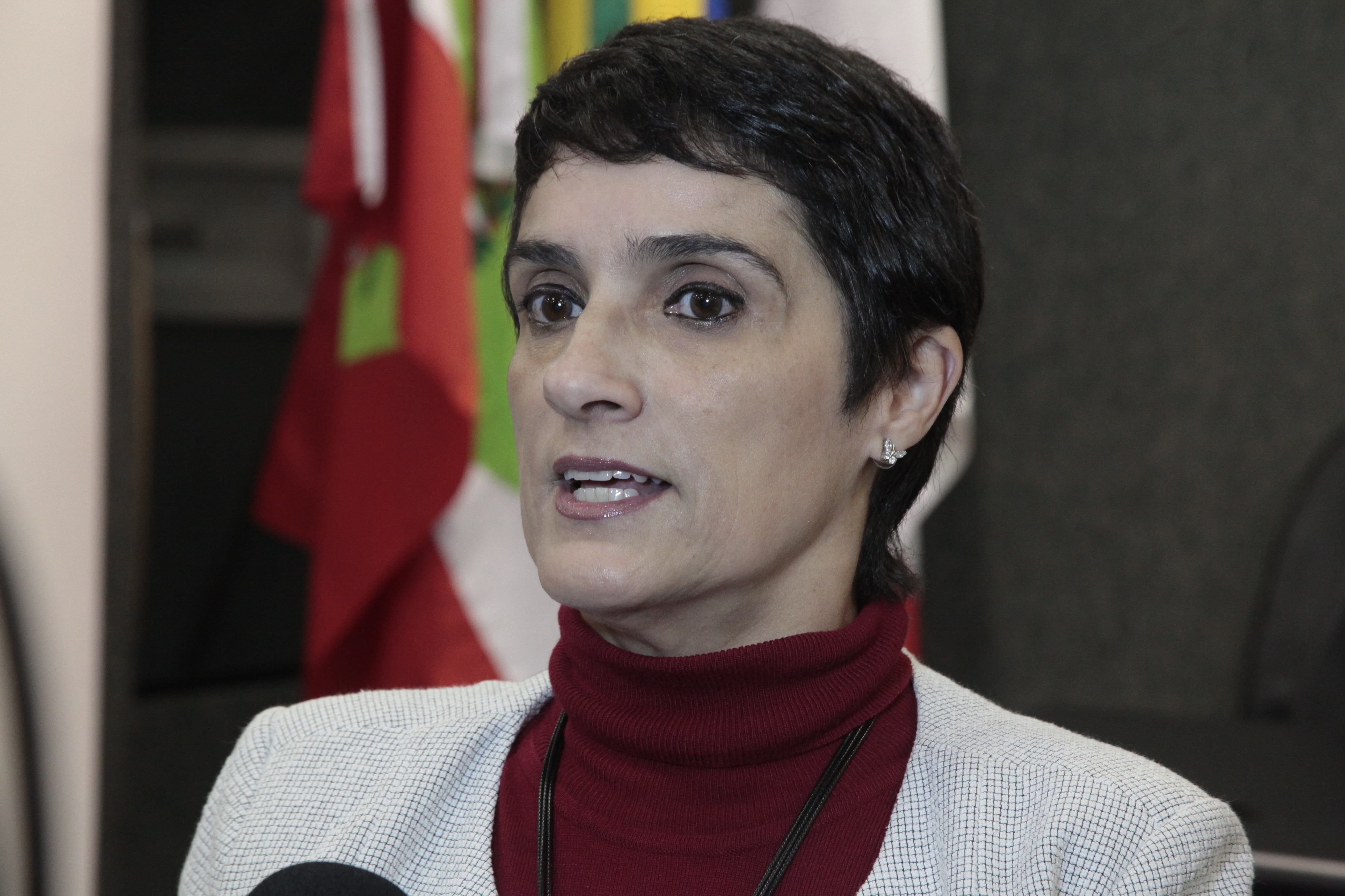 VEREADORES MIRINS –  Entrevista com Lea Cardoso, responsável pelo programa na Escola do Legislativo