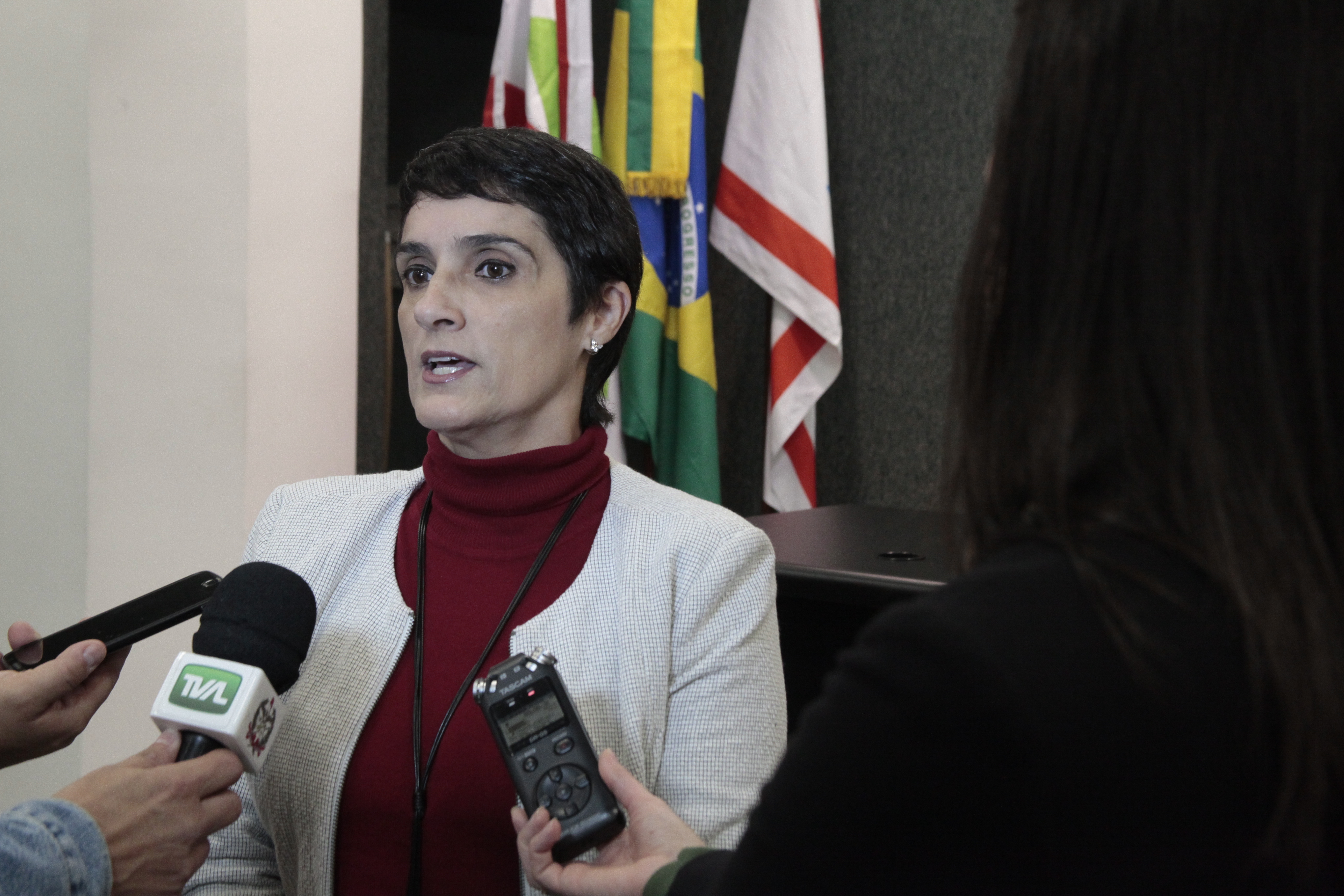 Responsável pelo programa Vereadores Mirins na Escola do Legislativo, Lea Medeiros Cardoso