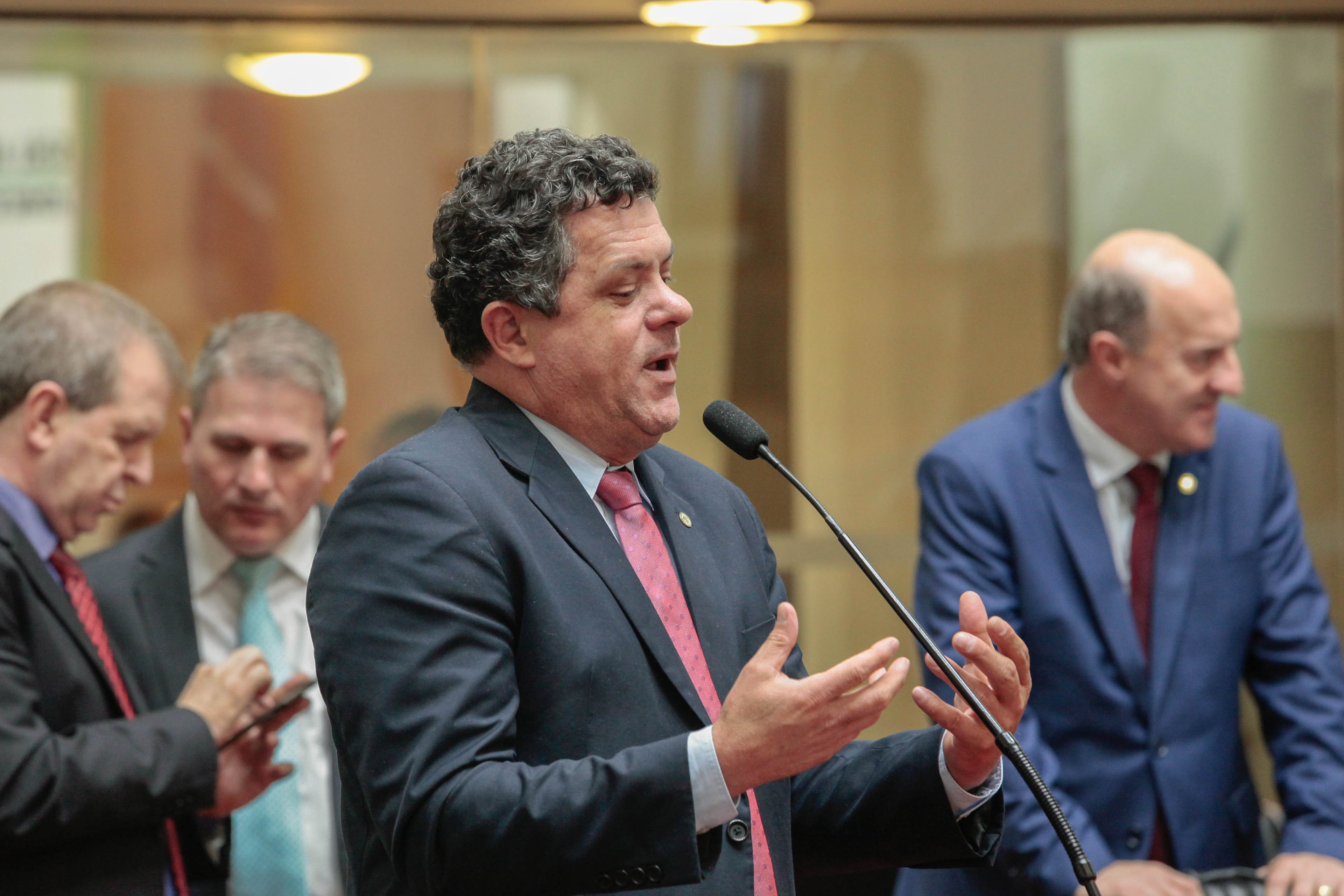 Deputado Ivan Naatz (PV)