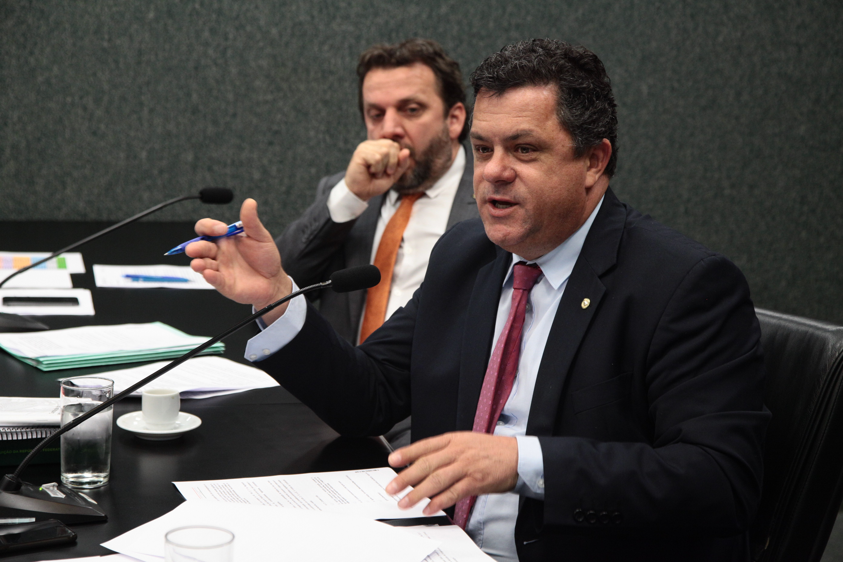 Comissão de Constituição e Justiça - Deputado Ivan Natz (PV)
